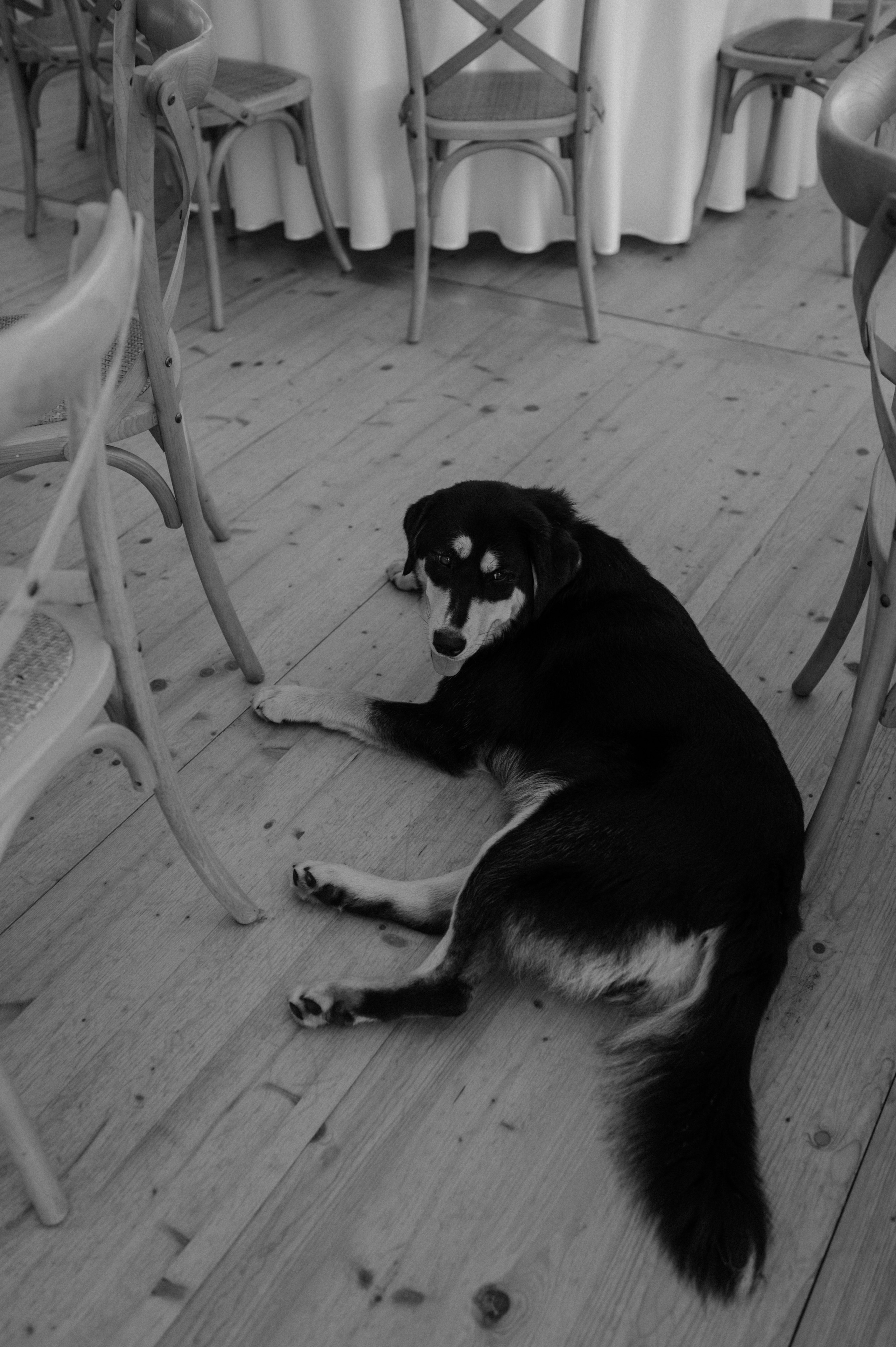 Reportaż Ślubny – Zuzia i Jasiek | Fotograf Ślubny Poznań. Ślubny fotograf Poznań | Oliwia Makara