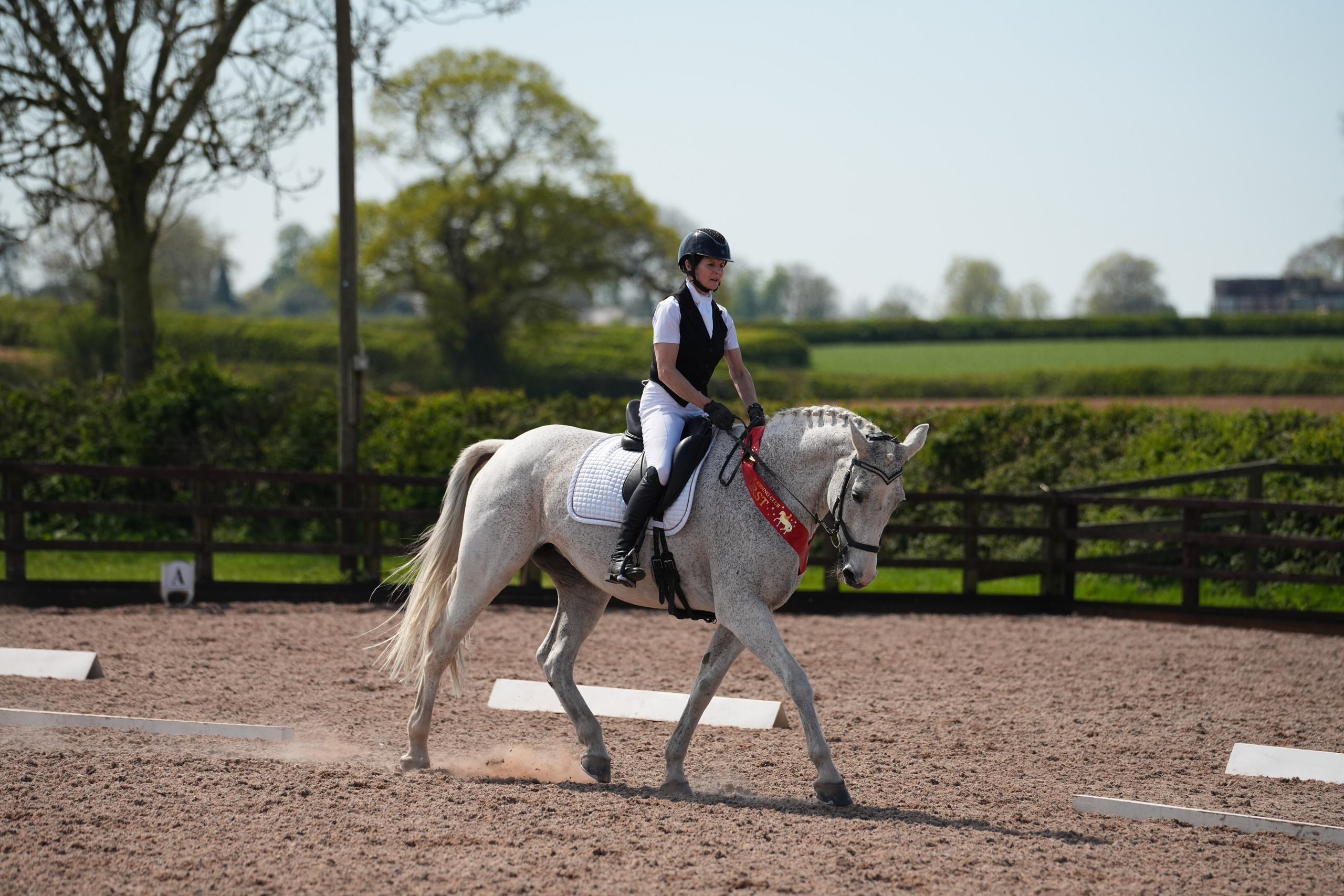 Dressage. Leicestershire Equine Photography by El | Authentic Equine Portraits & Events