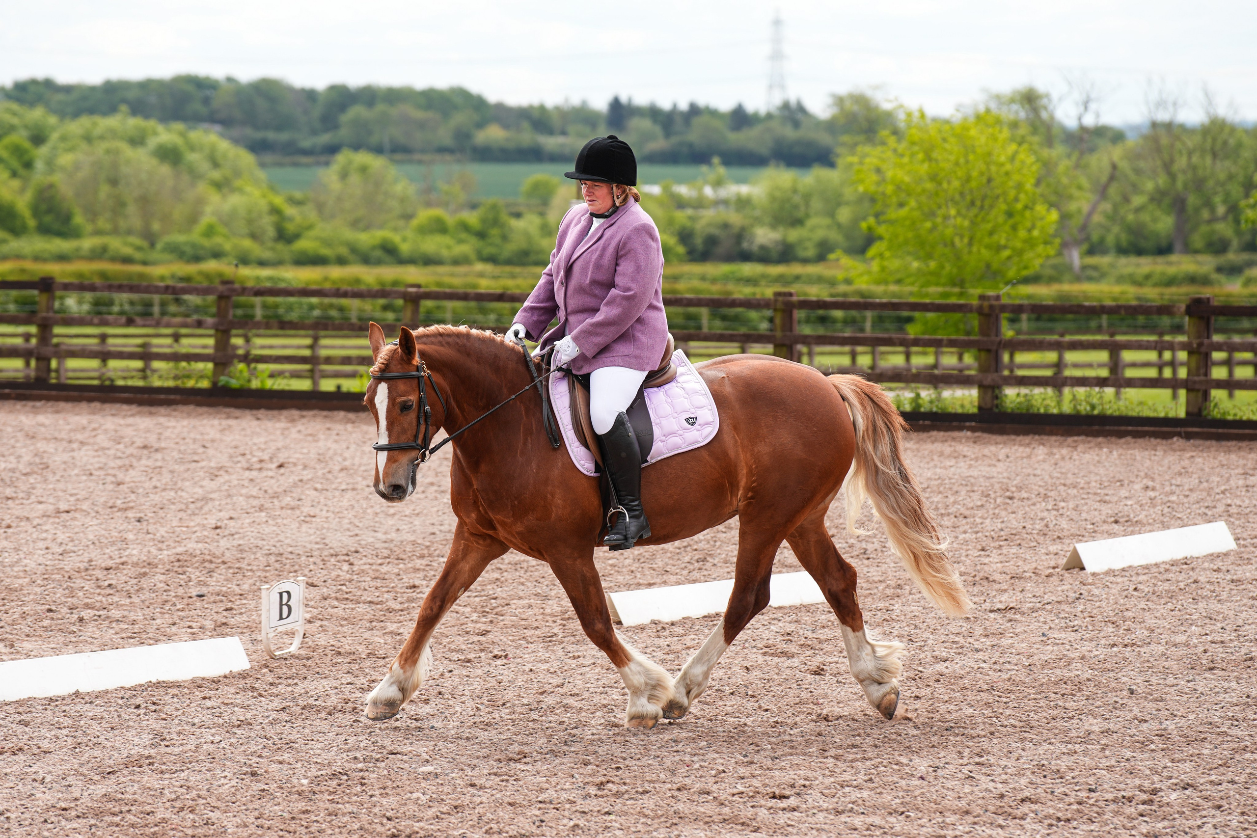 Dressage. Leicestershire Equine Photography by El | Authentic Equine Portraits & Events