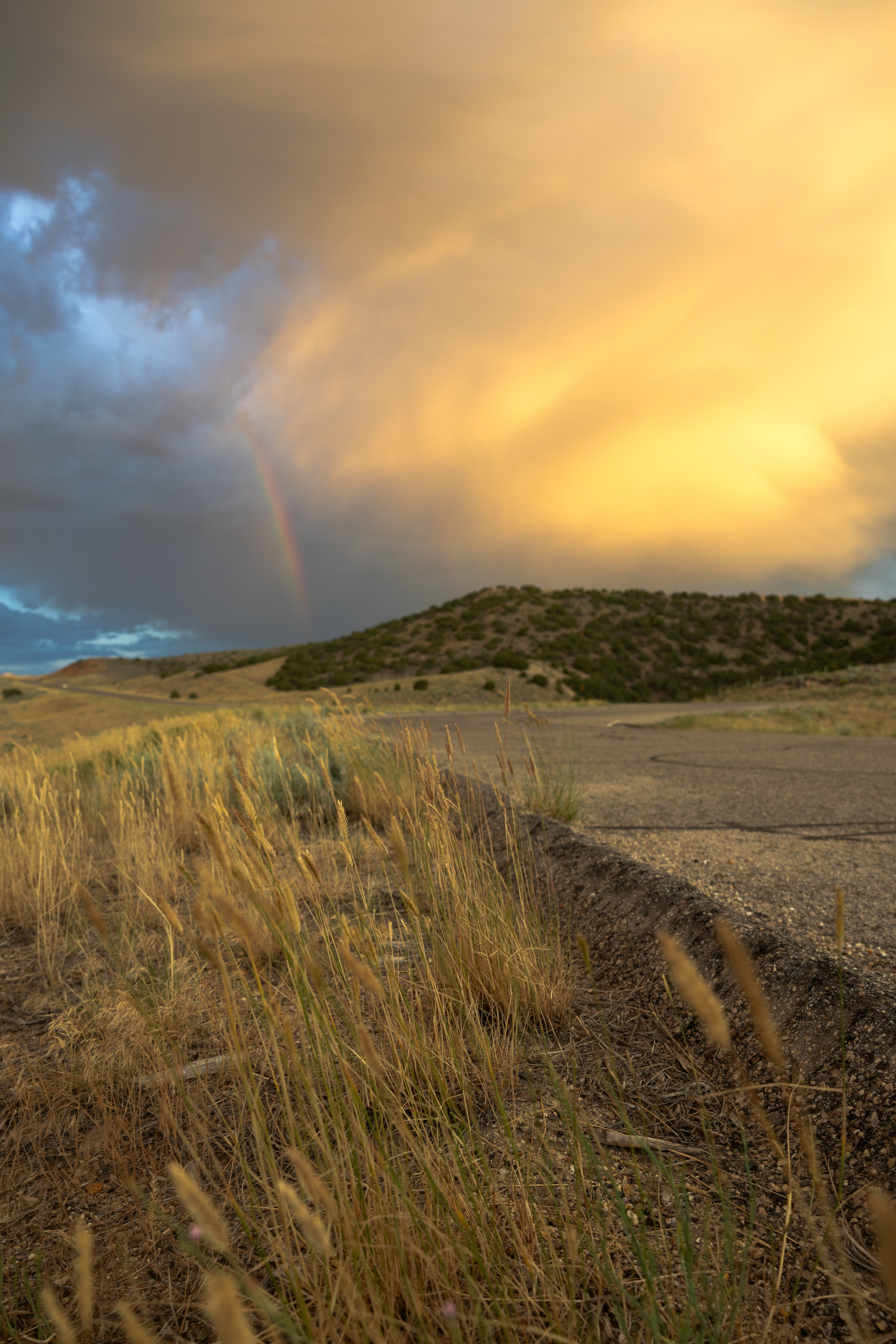 Wyoming. Family Lifestyle Photography