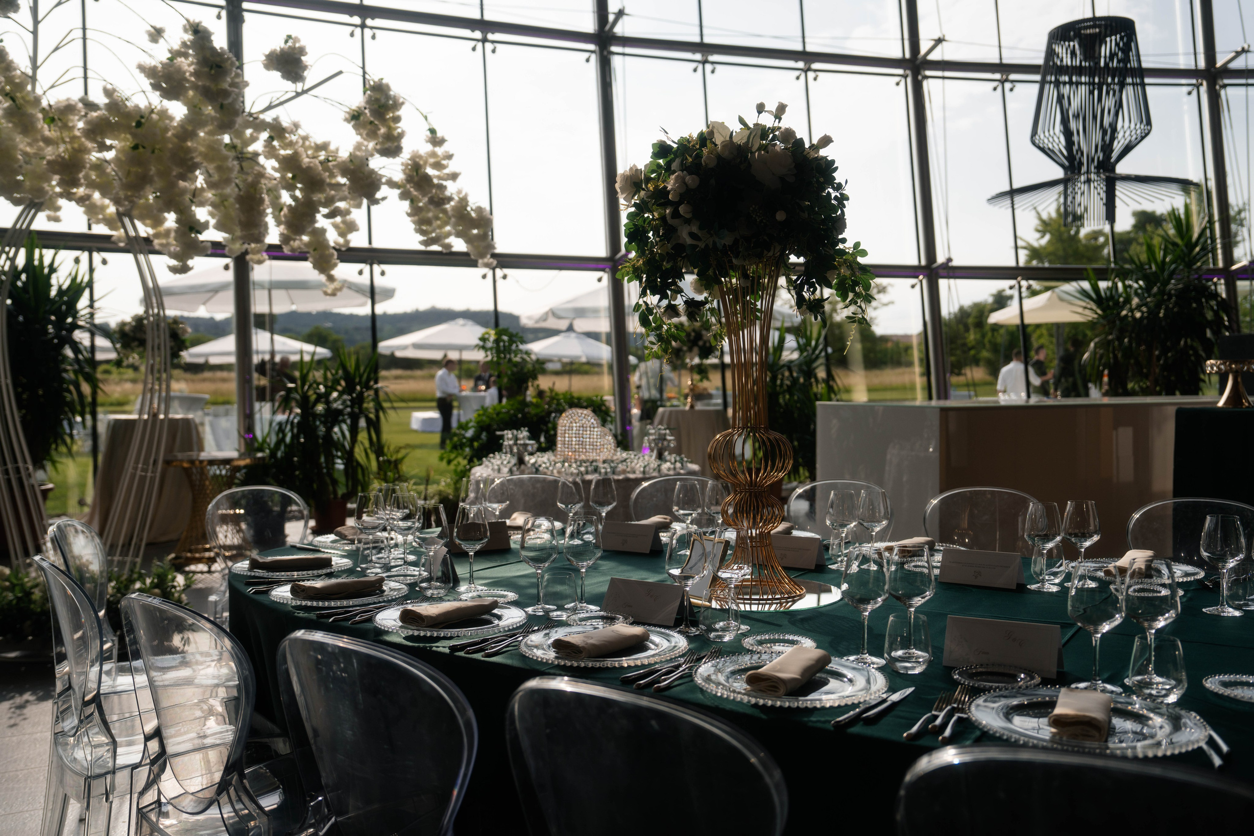 An Evening of Elegance and Extraordinary Performances. Ioana Timis