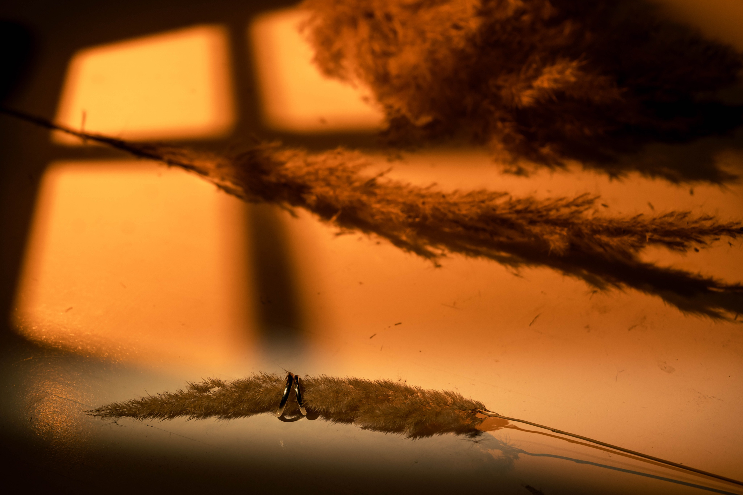 Irina & Daniel. Acasă