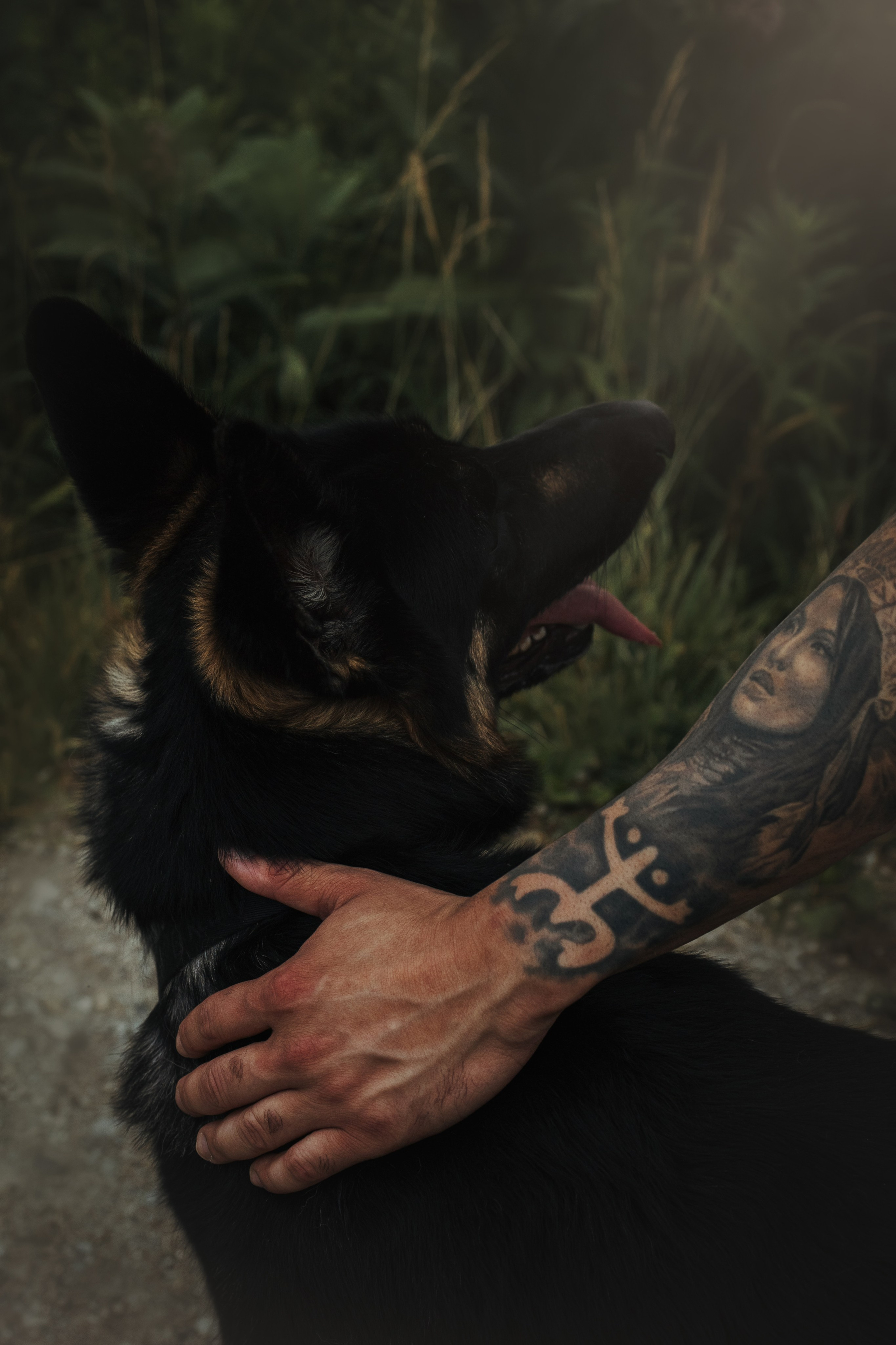 Frida & Frank. Pet Photographer Viktoriya Aleshenko
