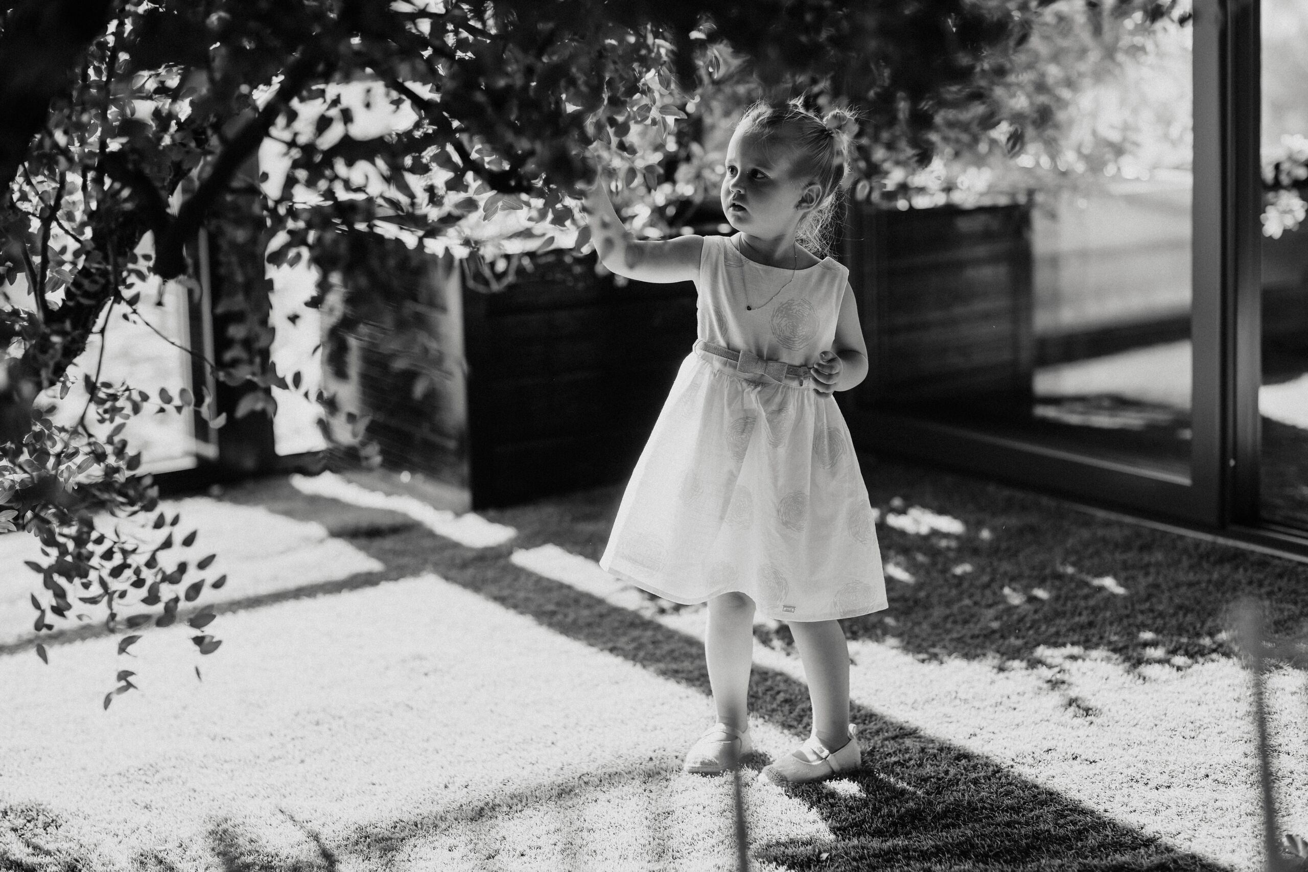 Leona & Ivan. Wedding photographer based in Novi Sad, Marko Milivojevic