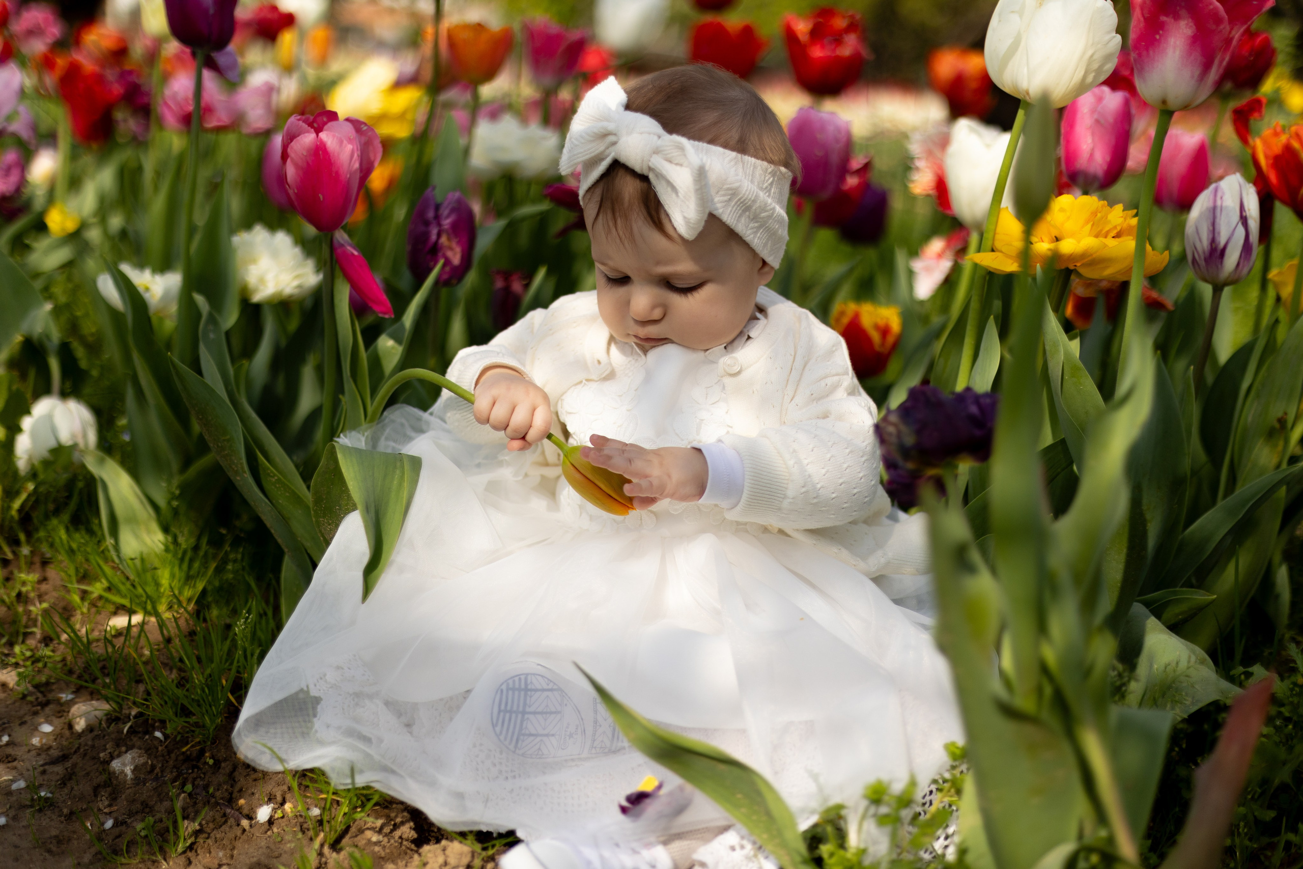 Camilla, Annalisa e Vanni. Luci e Capricci Photography
