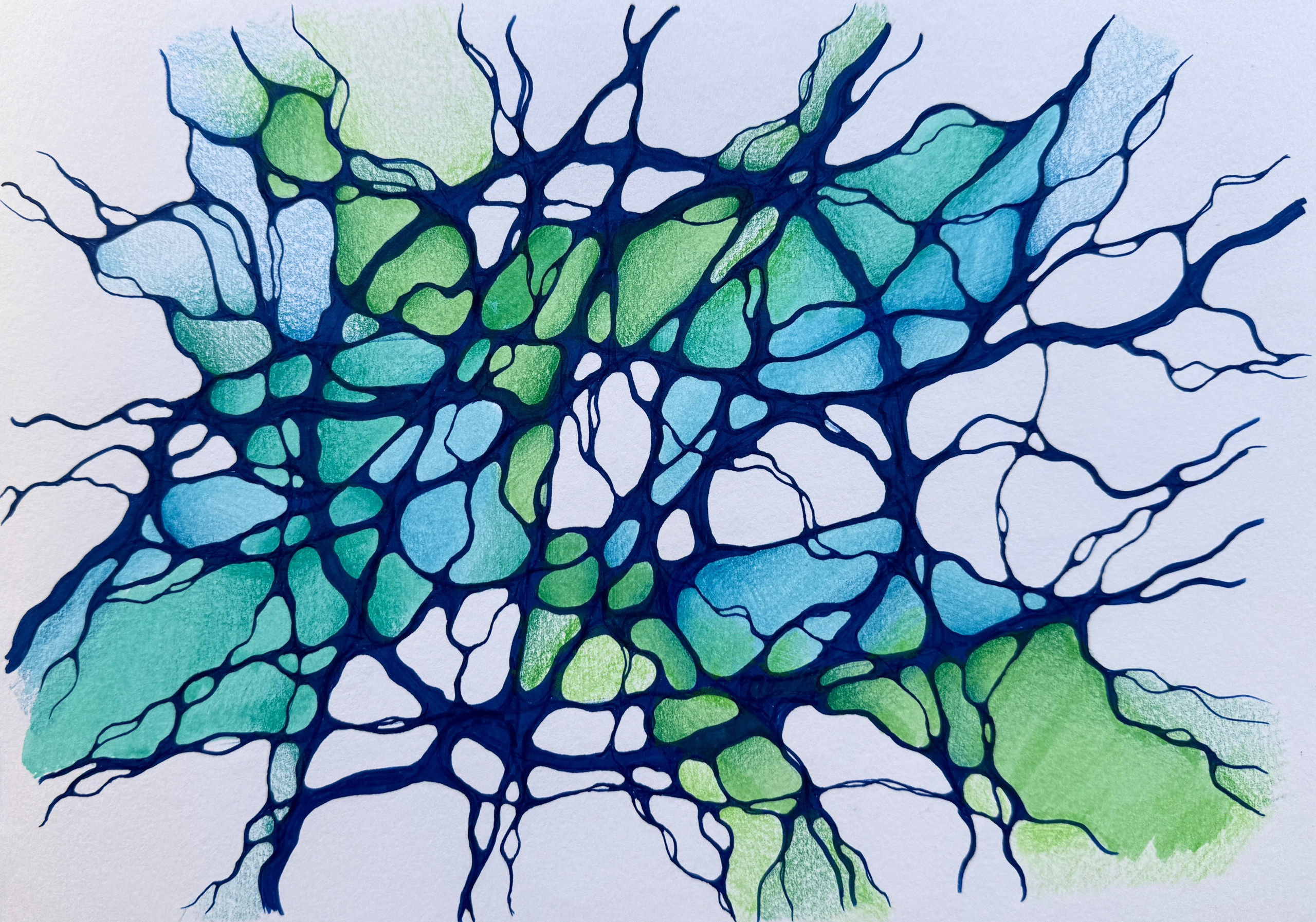 Moje slike. Numerologija. Nevrografika. Delavnice