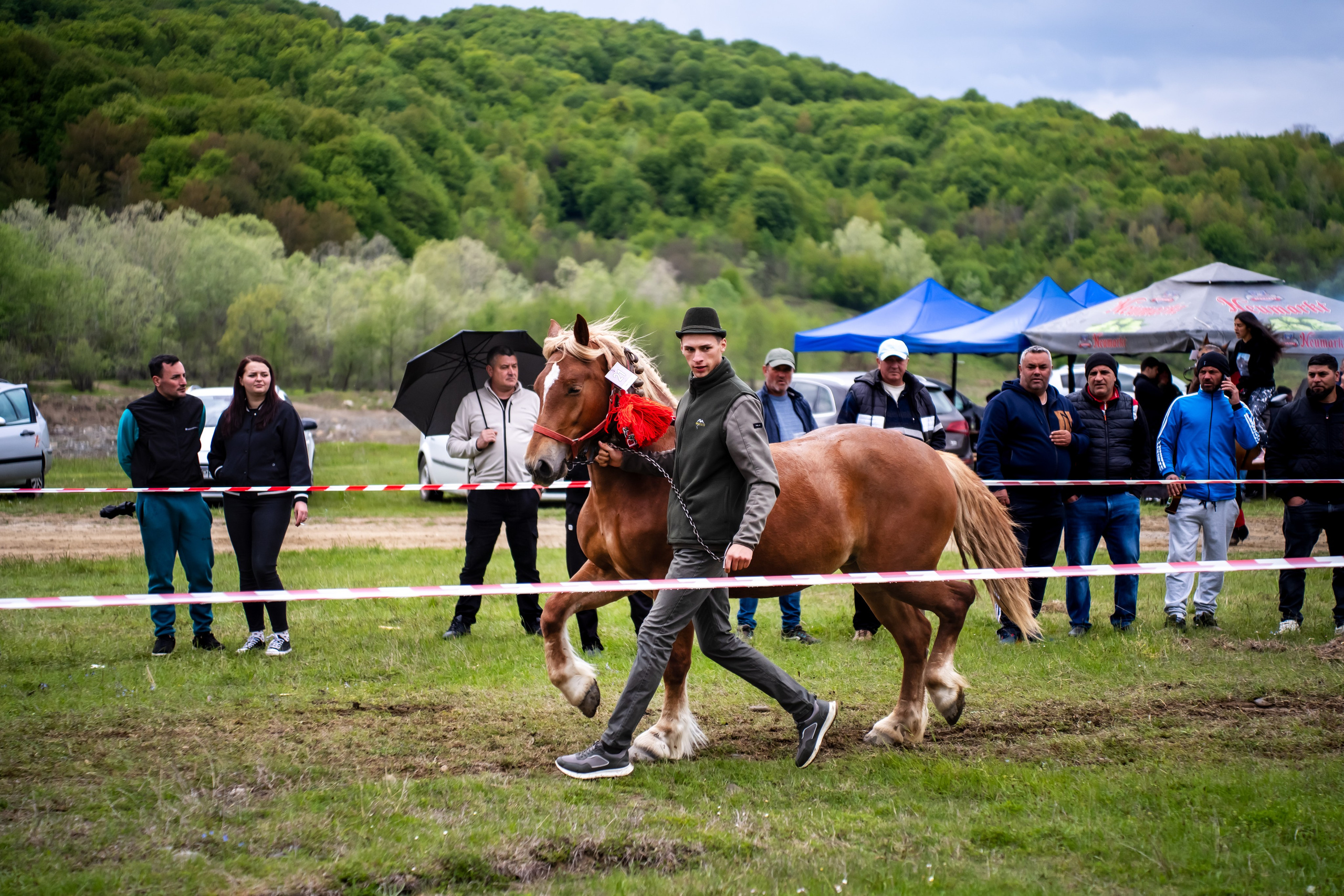 Concurs Ecvestru Vărbilău ediția a 4-a. Mihai Alexandra Events