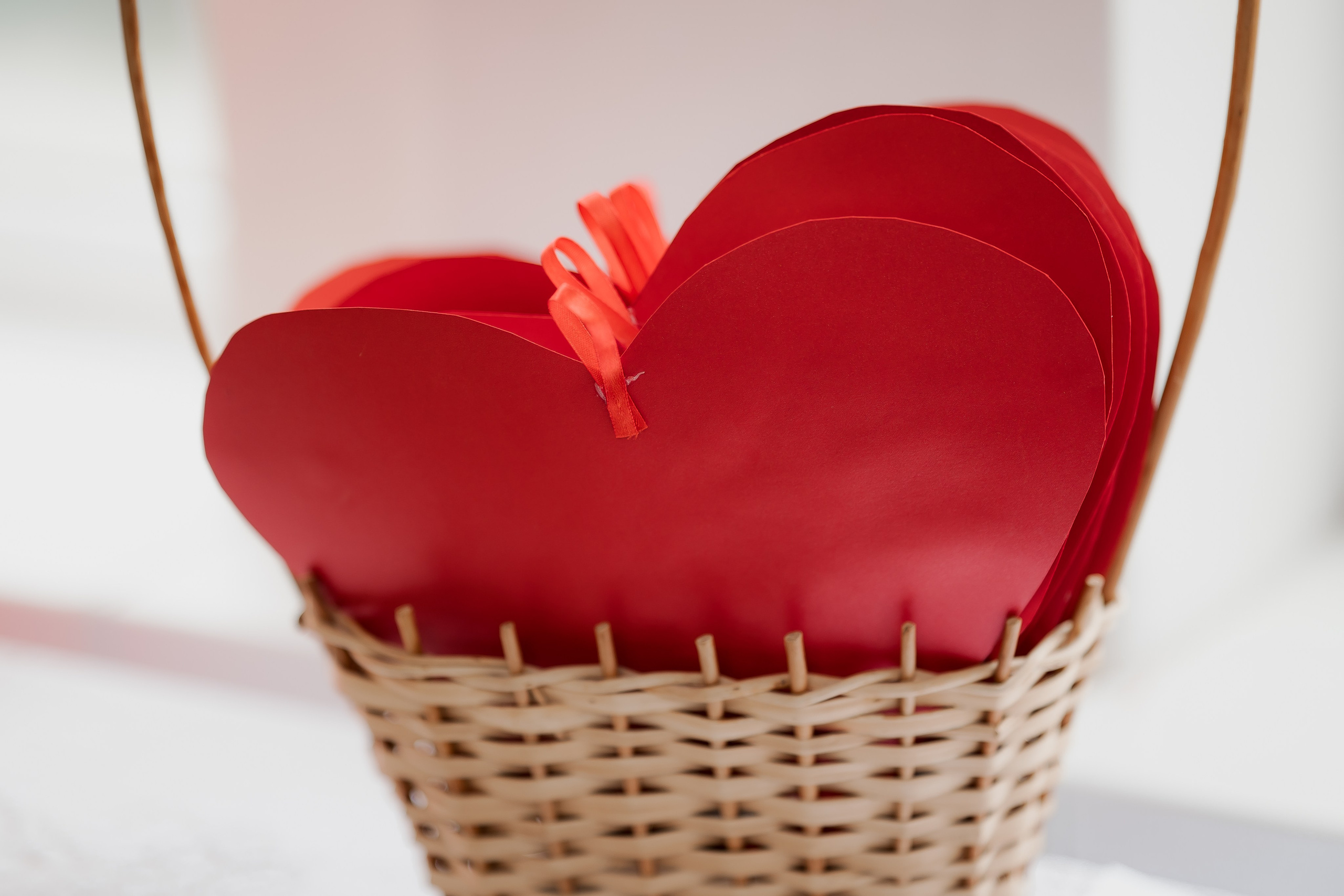 Recenzie. Www.stayscolor.md