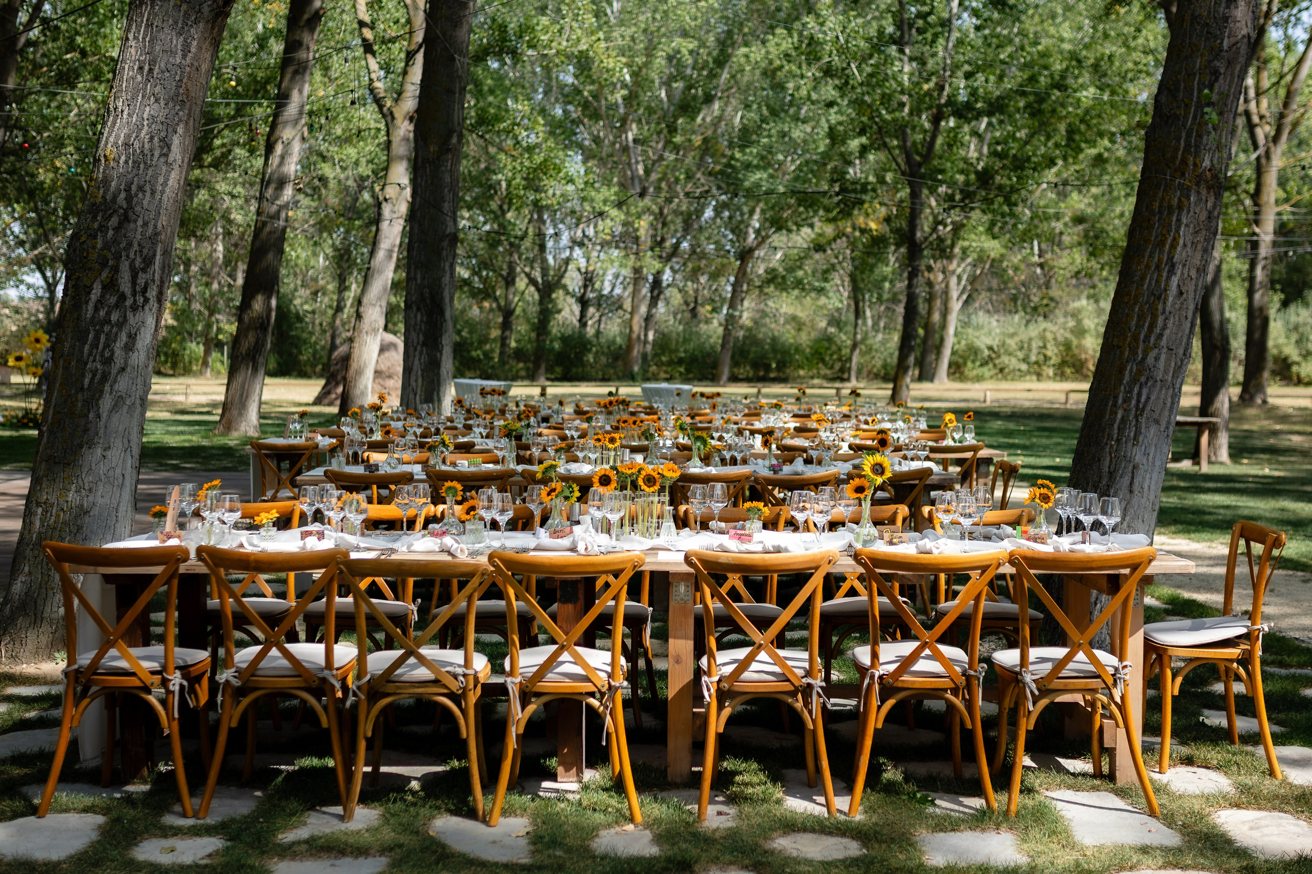 FOTOGRAFII. AB MEMORIESFACTORY - IONUȚ & ADRIANA