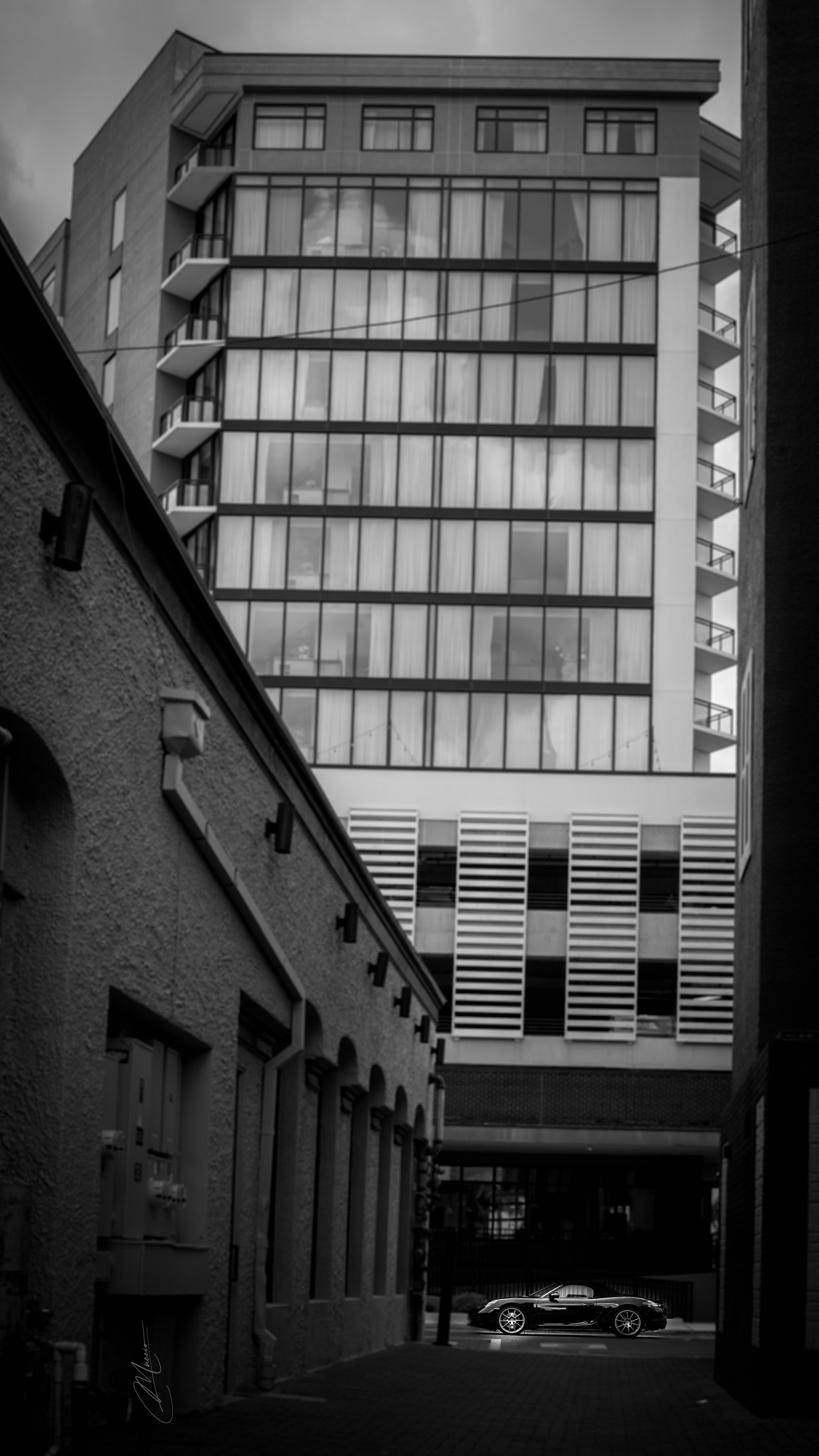 Black and White. Out and About 239