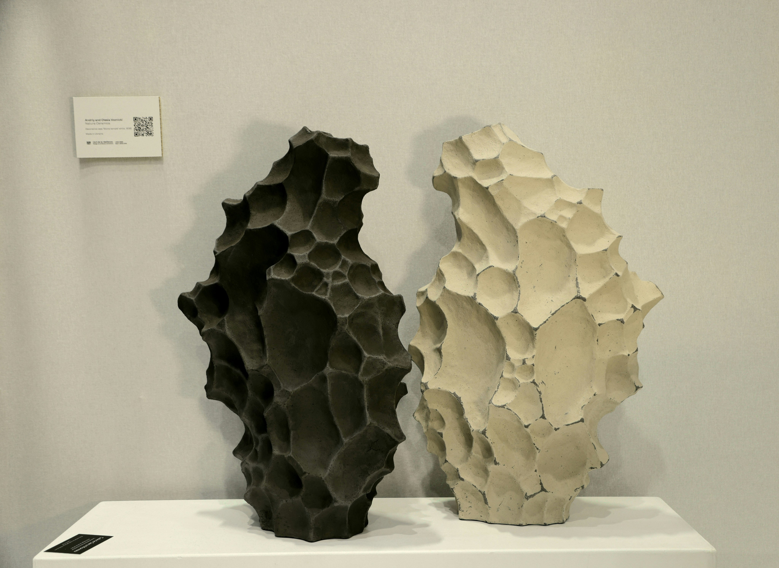 Salon Ukrainian Paris. Natalia Bogdanovska. Films et photographie corporate en France