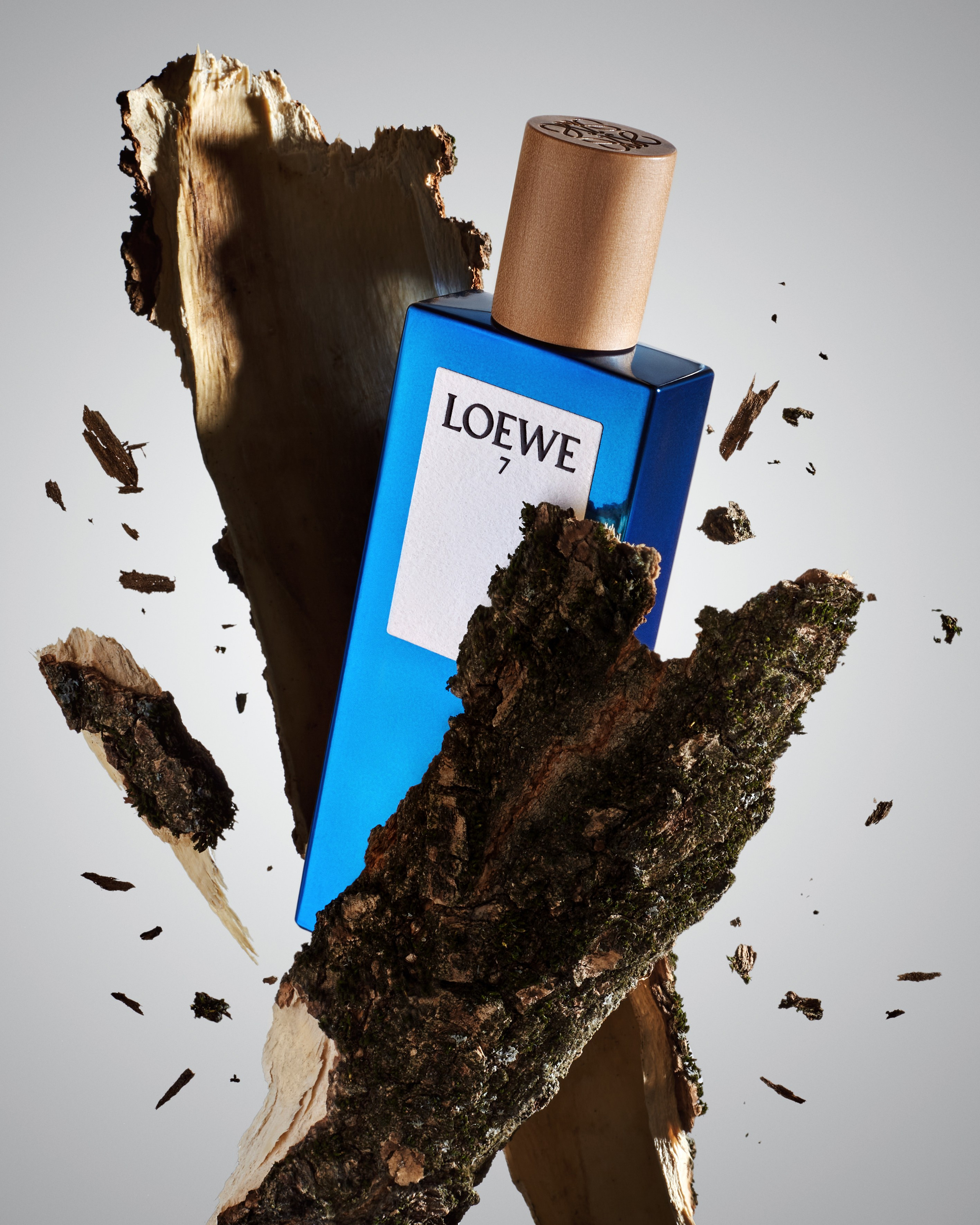 Loewe. Алина Ефимова — ретушёр (beaty, fashion, product)