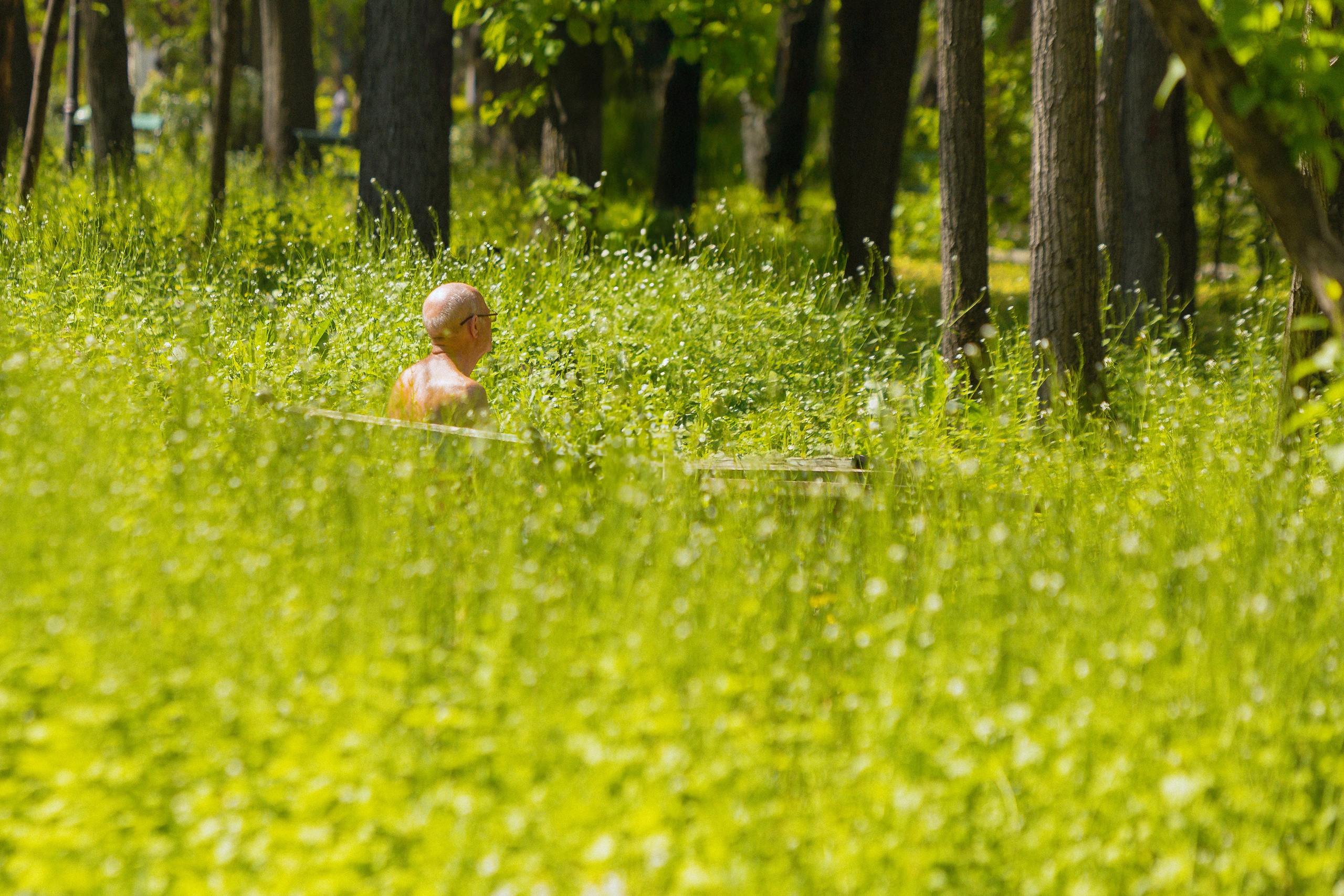 Apus urban la cununie civilă în București