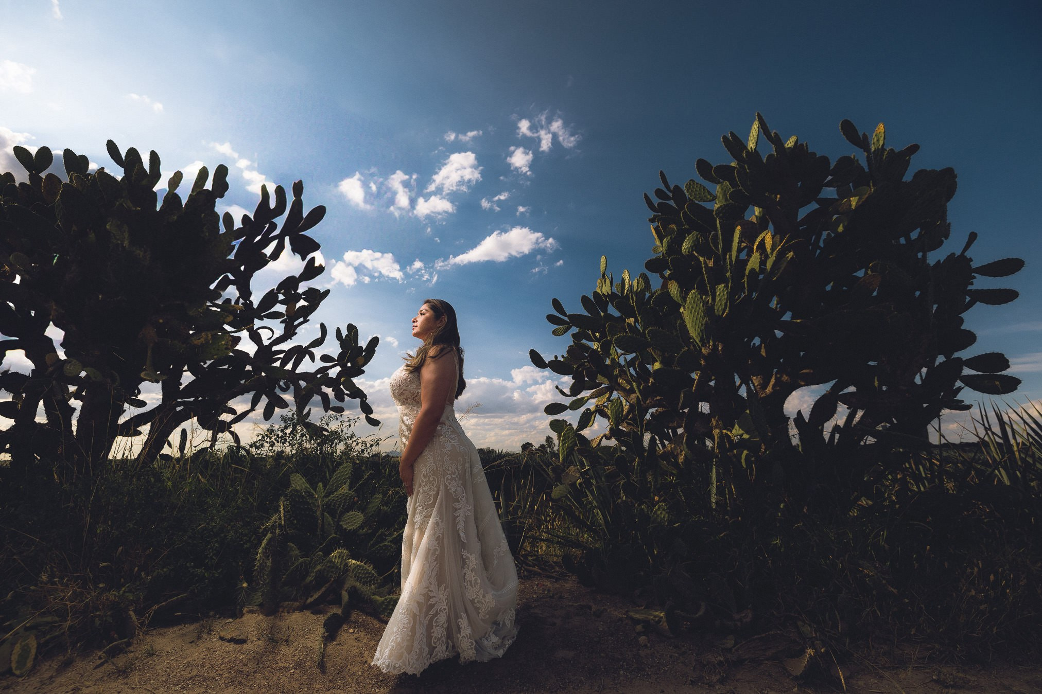 Aguascalientes / Jalisco Trash The Dress Viviana y Jesse. Estudio de fotografia en Tijuana