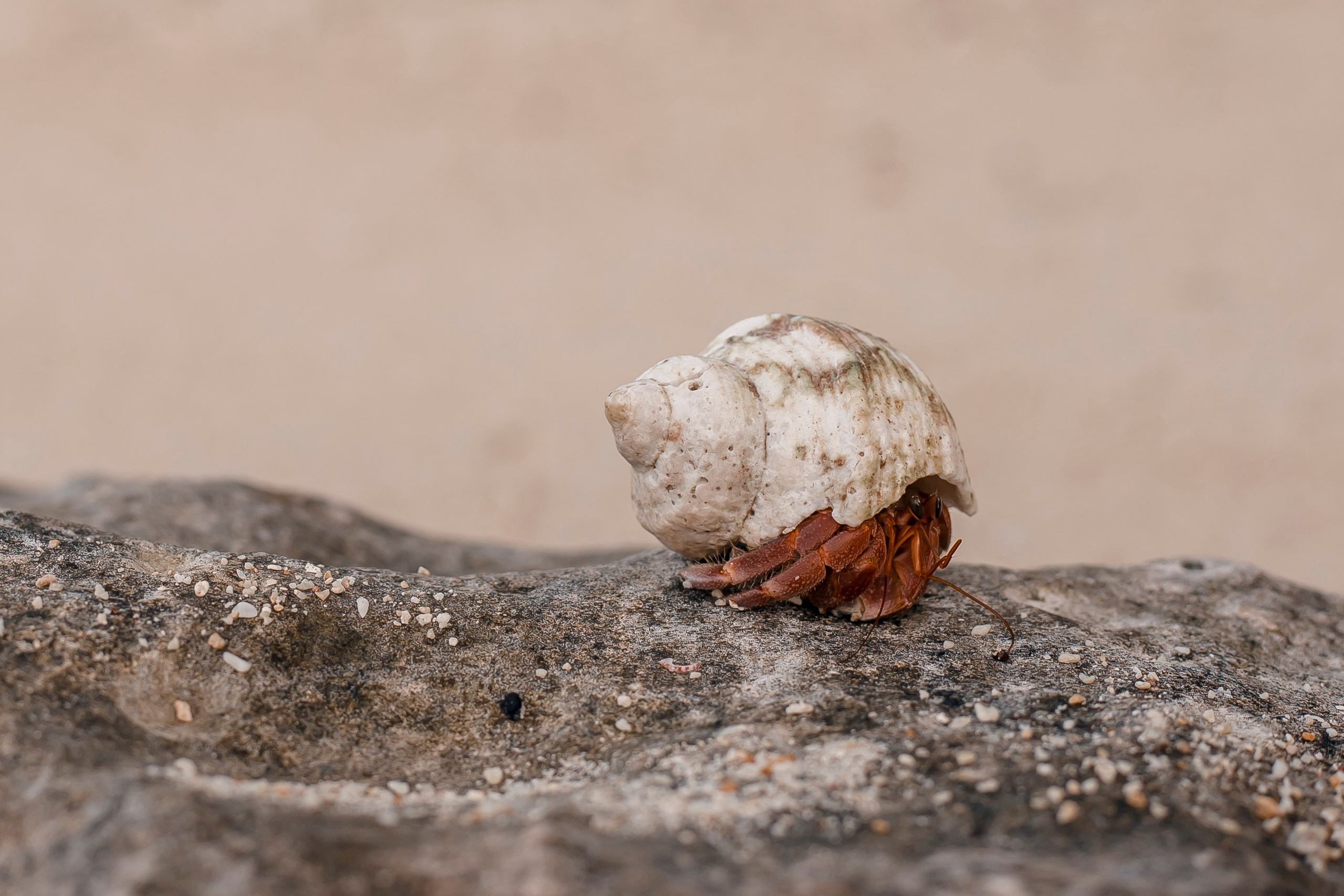 Andaman Islands, Part2. Art Photographer