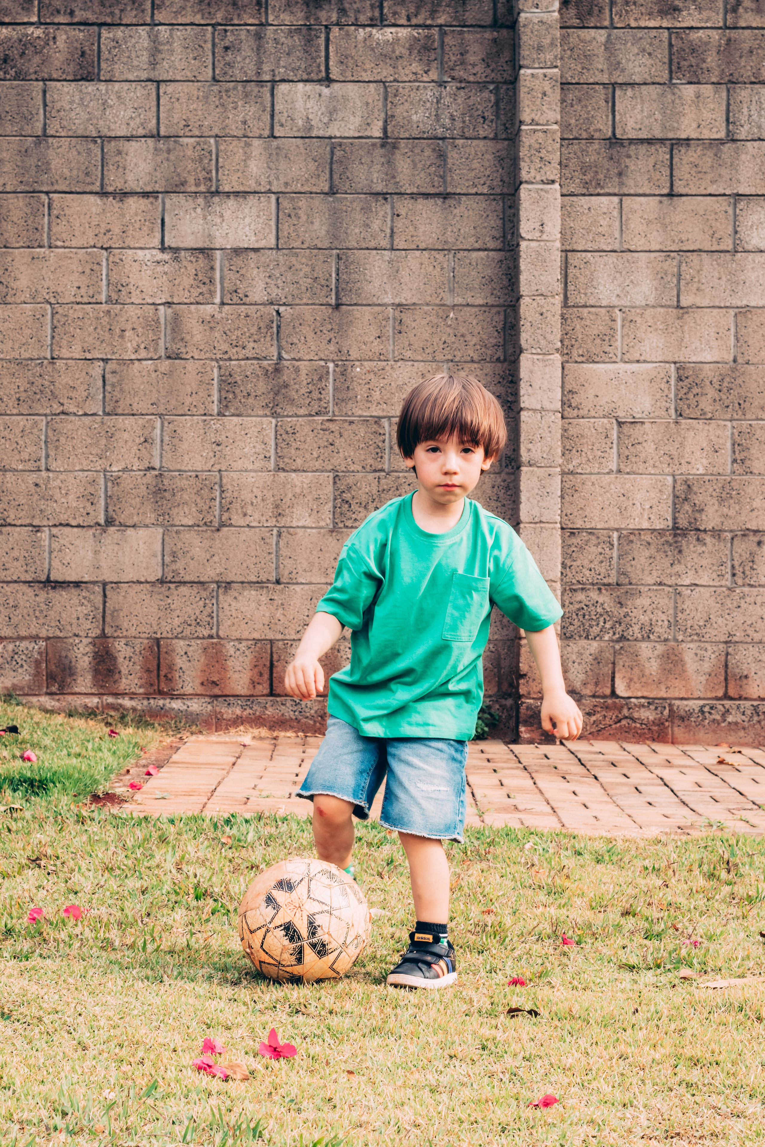 Alice — Aniversário 1 ano. Principal
