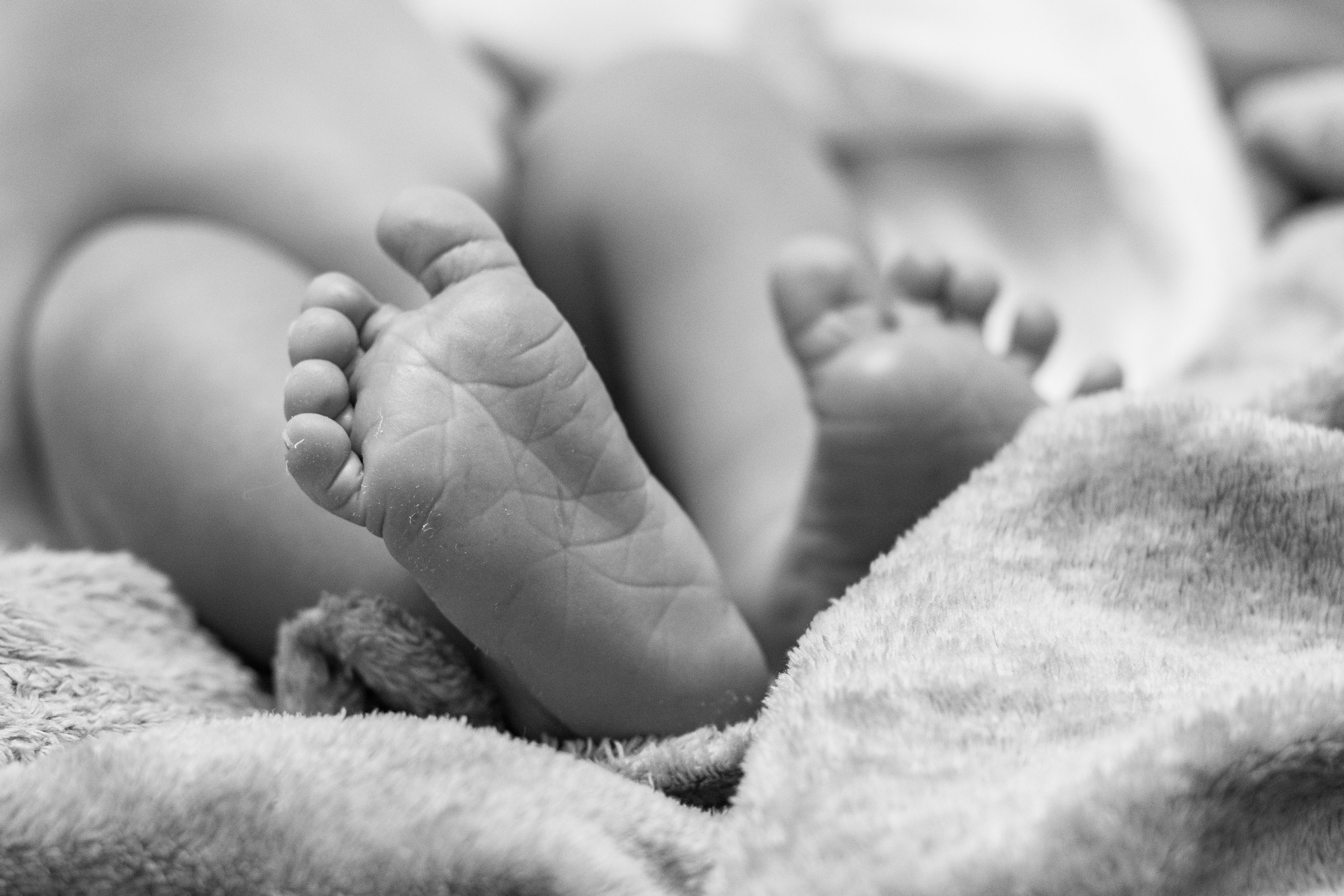 Nascimento Lucca. Principal