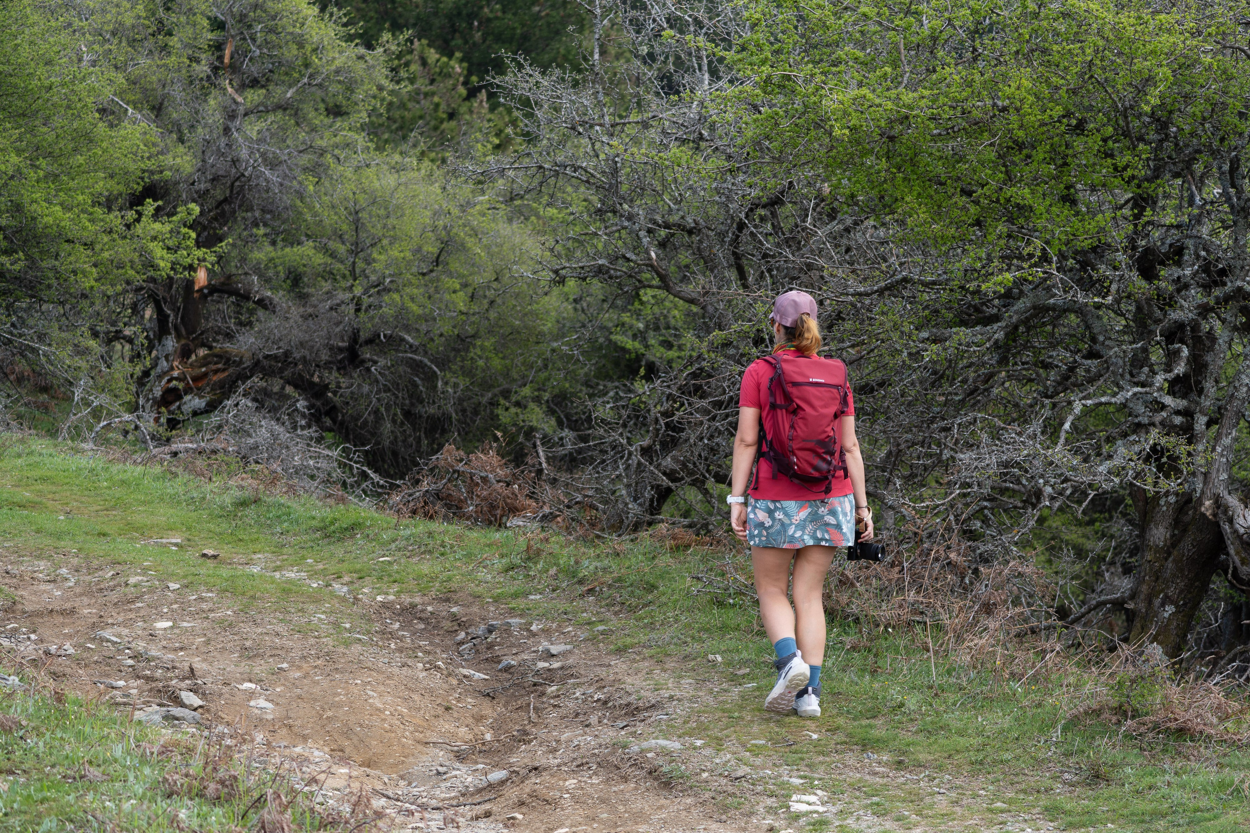 Thasos 2025. Fotografiideplacere.net
