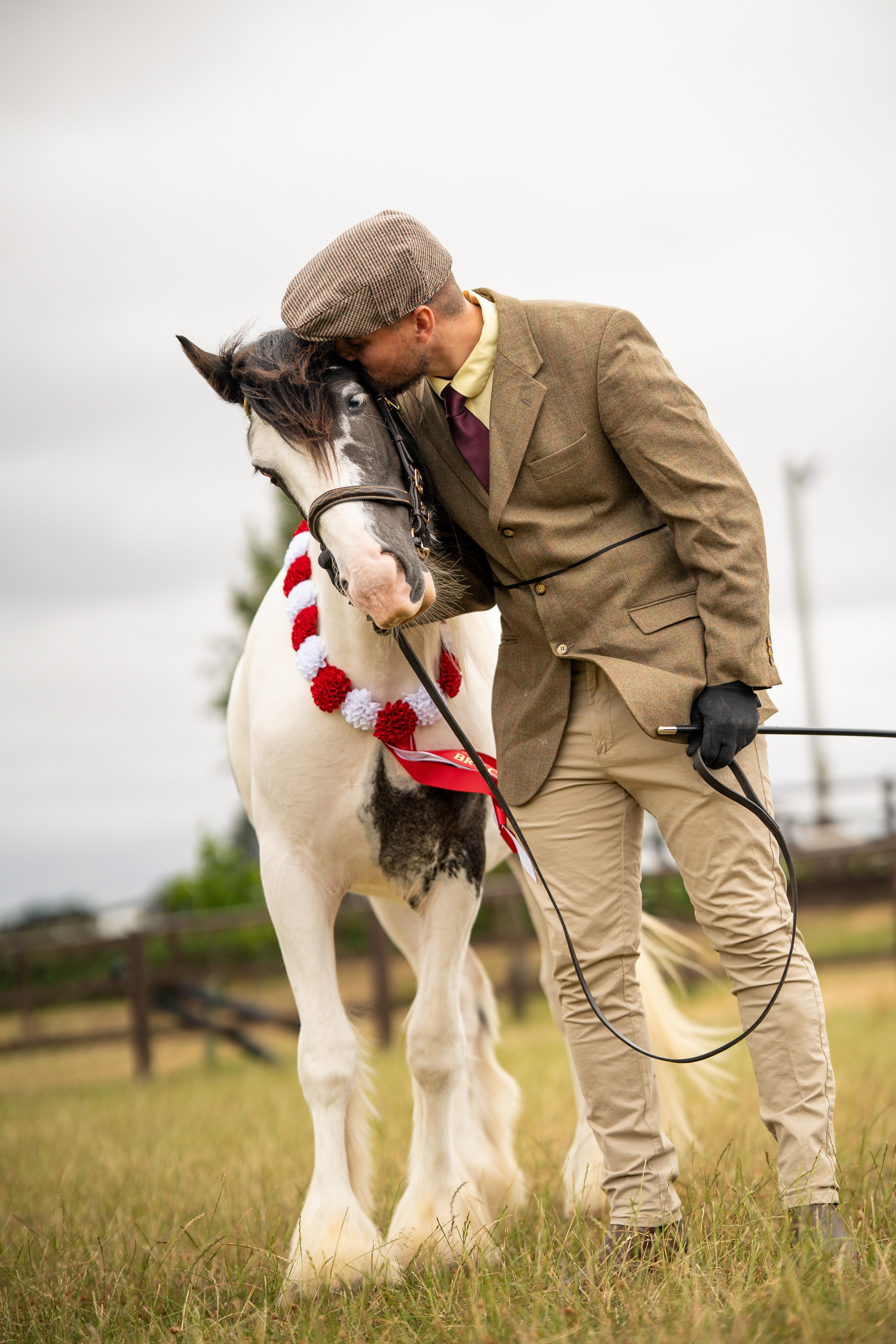 Showing. Leicestershire Equine Photography by El | Authentic Equine Portraits & Events