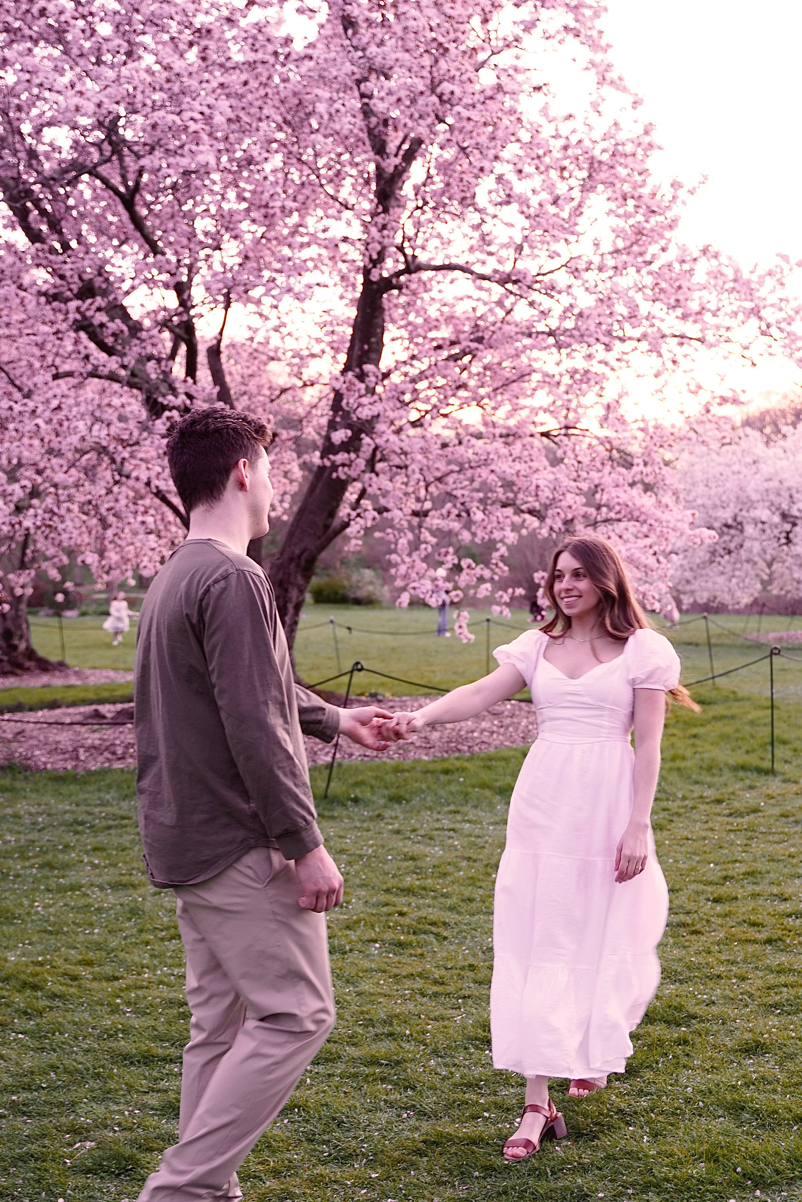 Kassandra and Andrew at Harvard Arboretum. Stefanovich Photography | Boston, MA