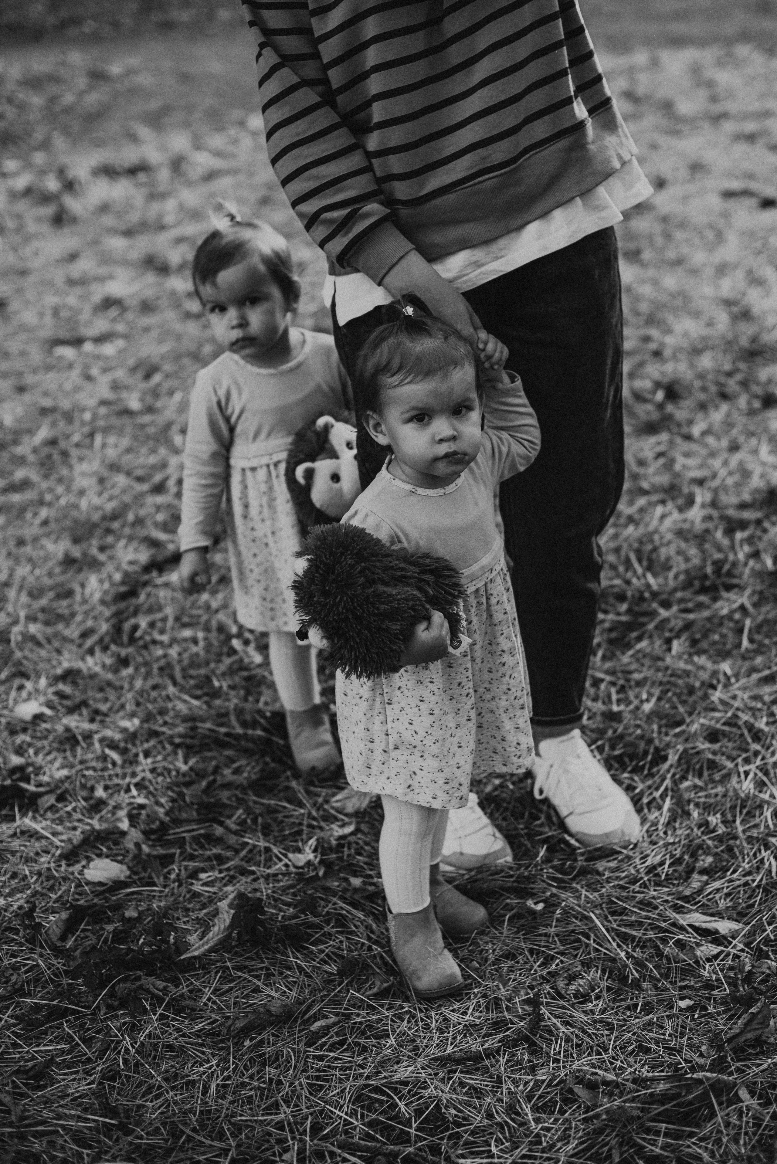 *. Wedding and family photographer San Diego