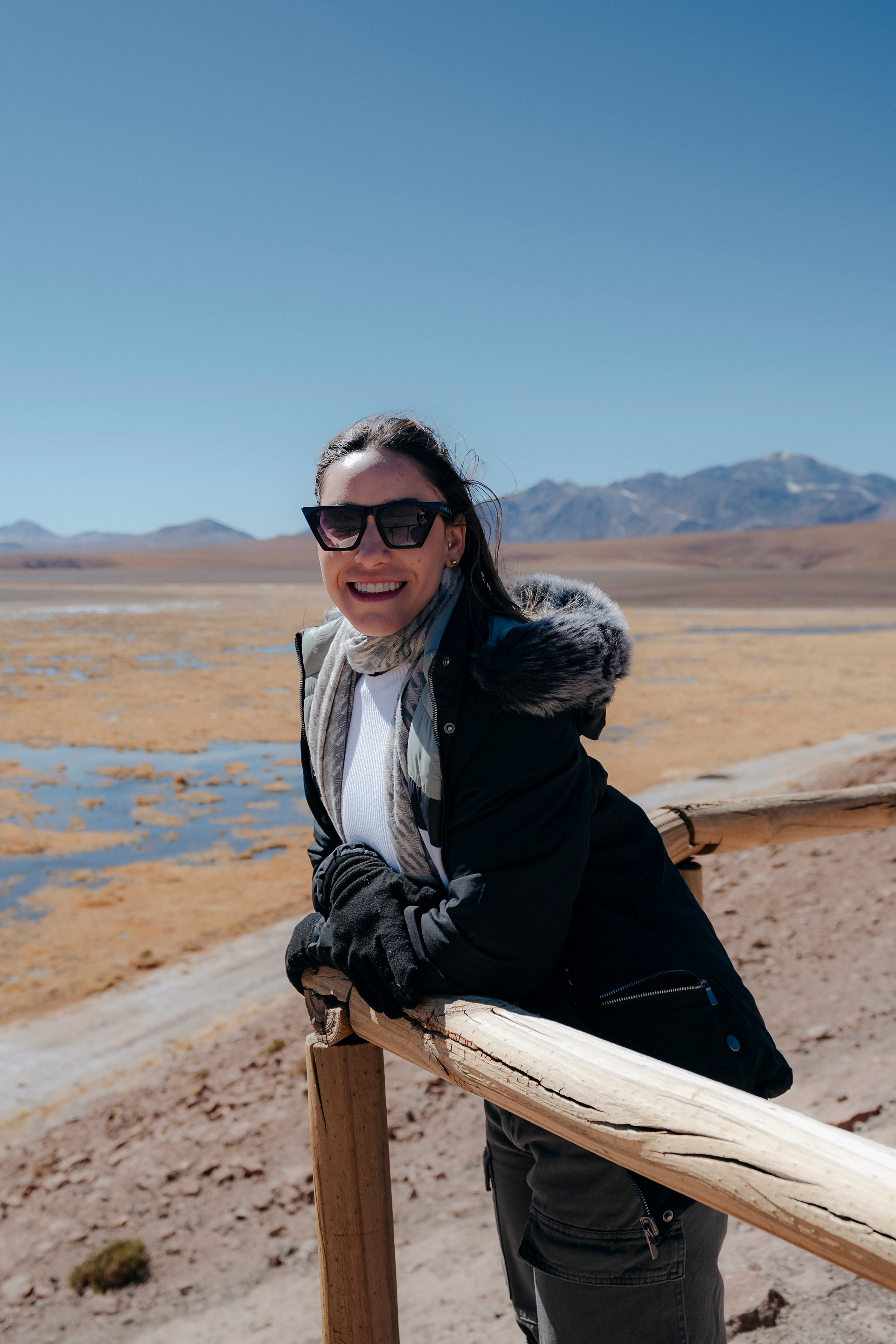 Geyser El Tatio (cobertura en tour privado). Principal