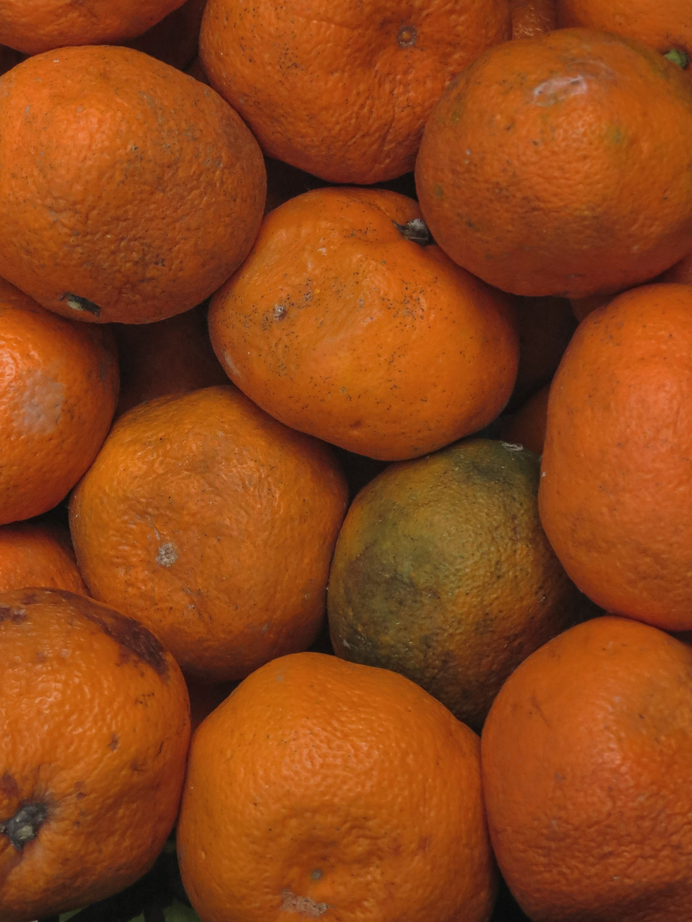 There Was a Holiday Here. Stanislava Novgorodtseva — Photographer | Visual Artist | Educator