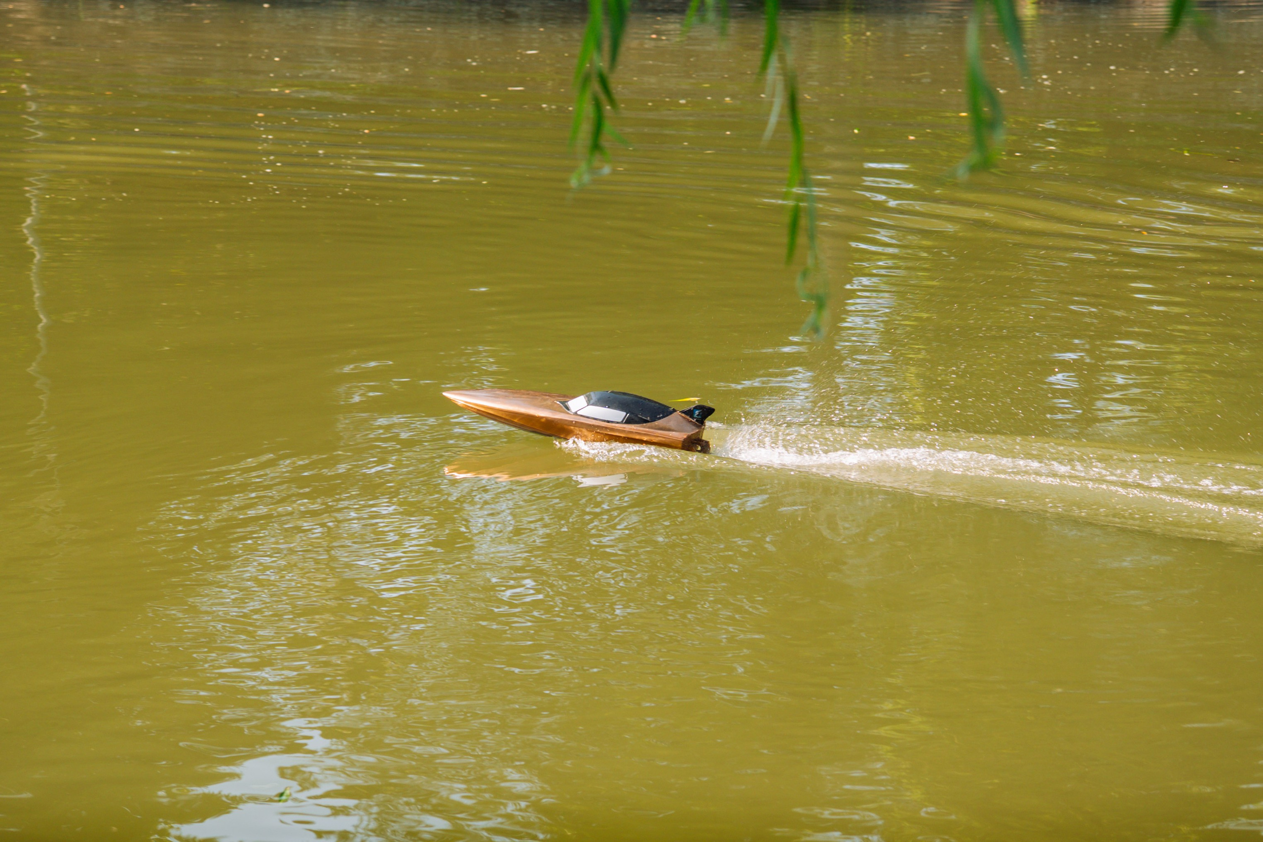 06.04 Bega Boat Race. Cozac Cristian Photographer