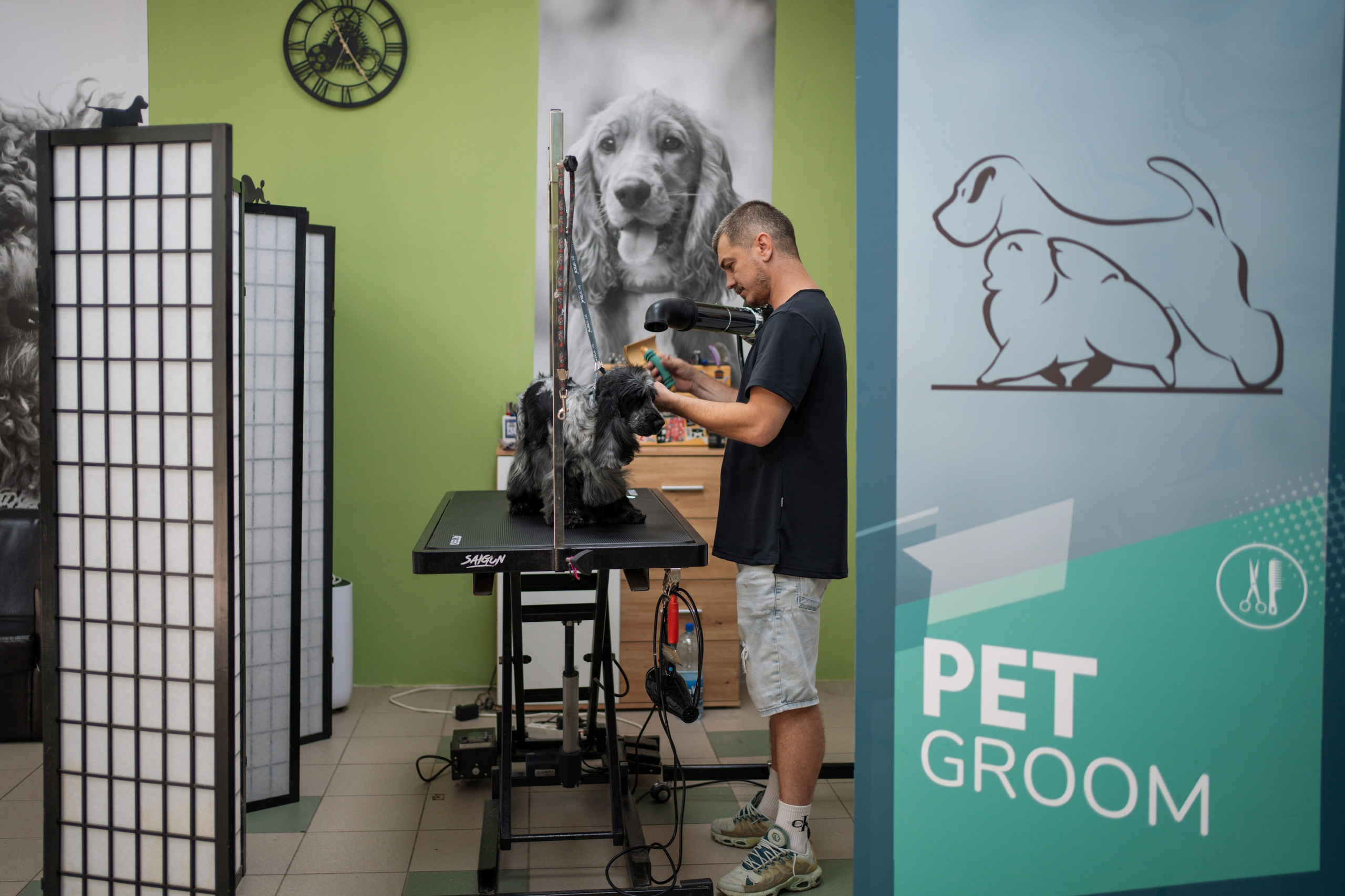 PetGroom Timisoara. Cozac Cristian Photographer