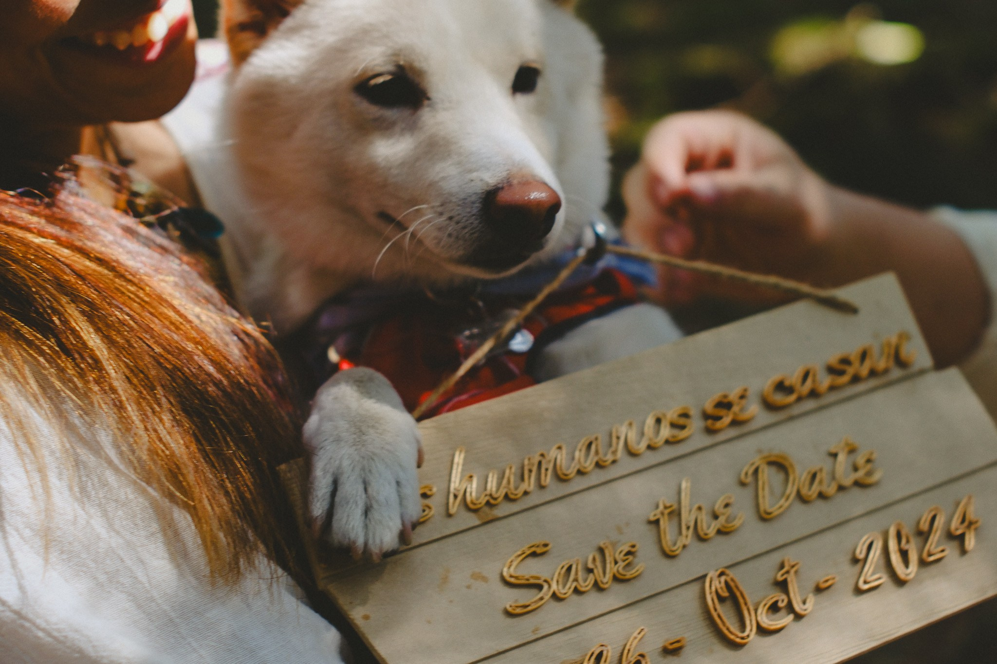 Yuriko & Hansel. Wedding and family photographer in Mexico City
