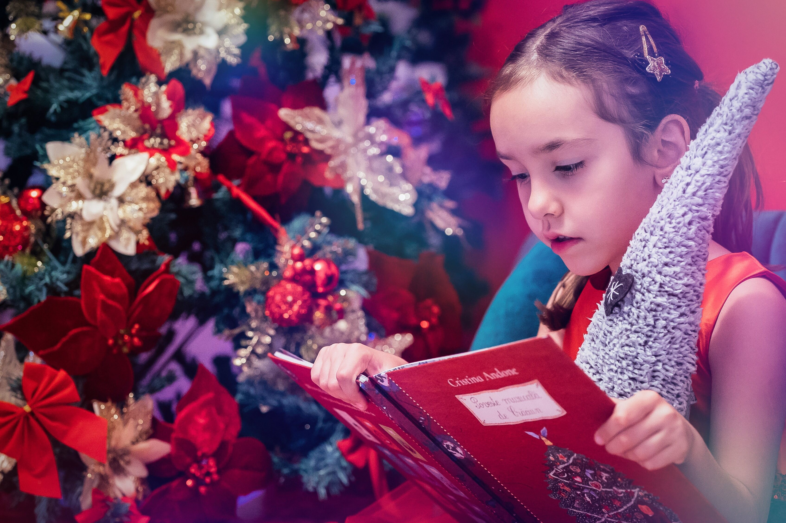 Sedinta Craciun Sofia