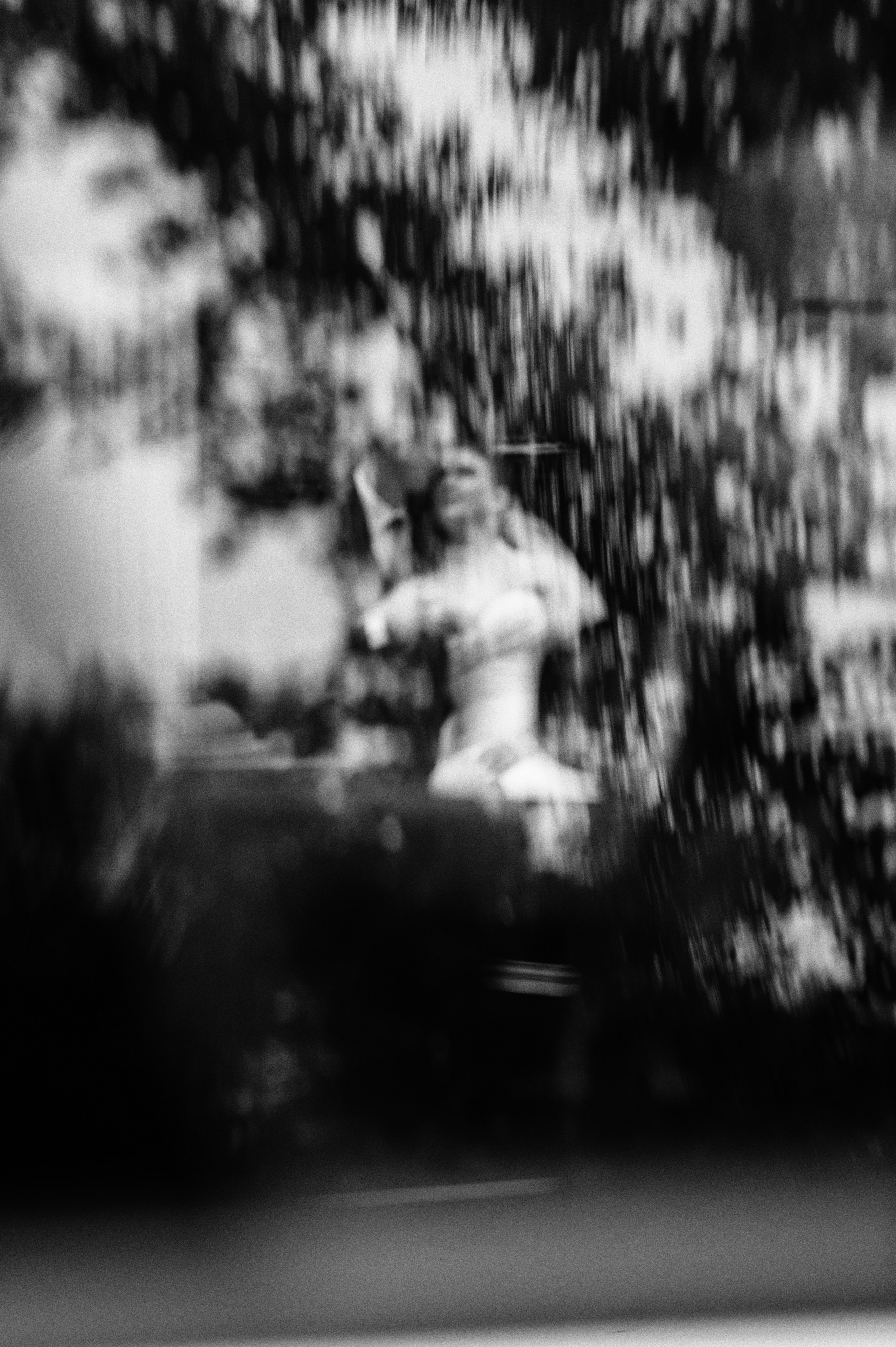 Wedding Dina & Vasili. Wedding photographer from Moldova Alexey Chipchiu