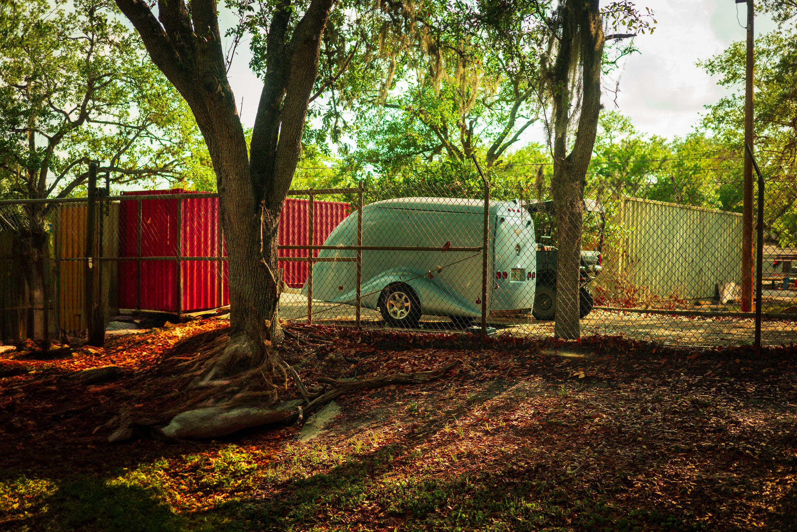 Americana — Immokolee. Out and About 239