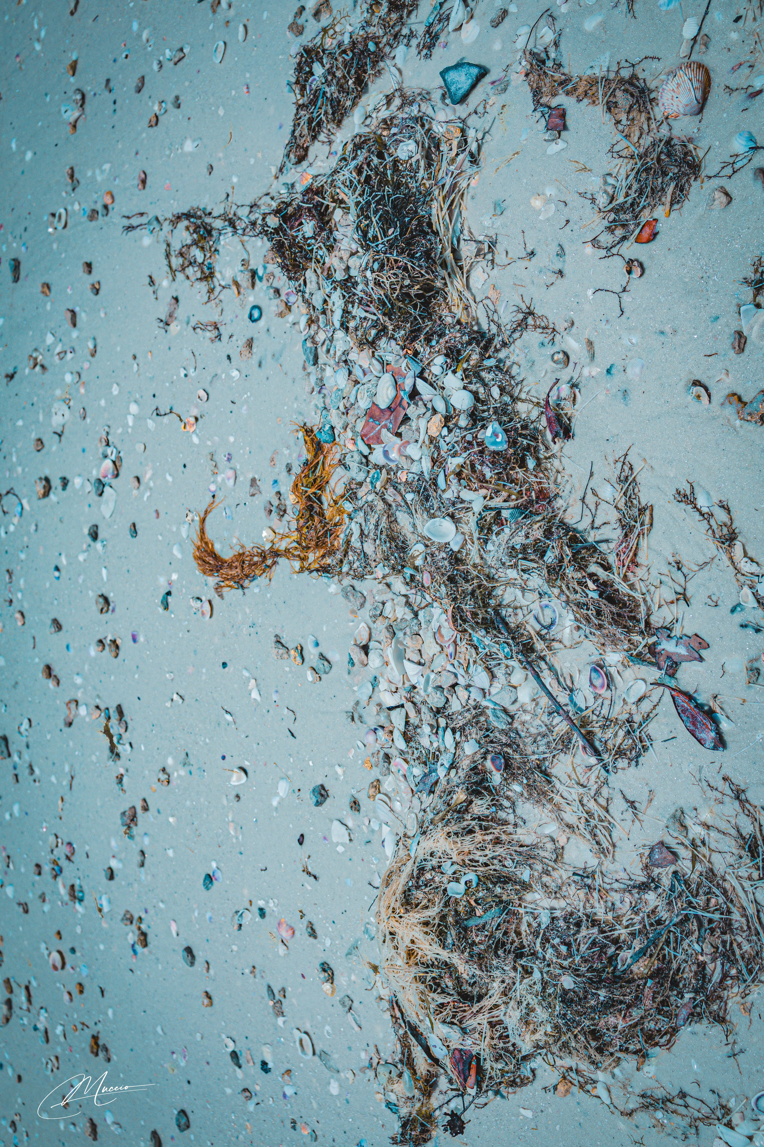 Florida Man — Fort Myers Walkabout. Out and About 239