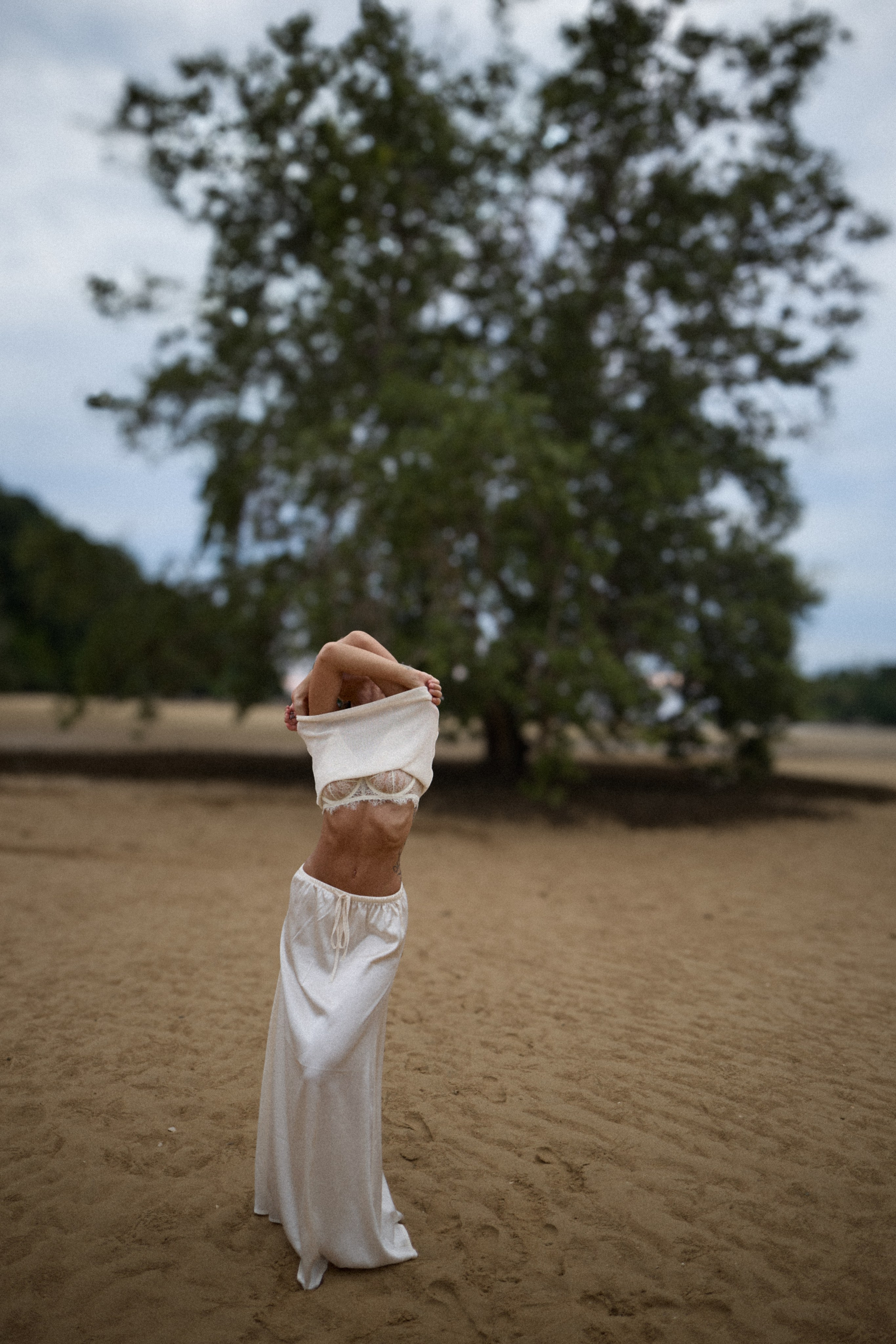 Тати. Услуги