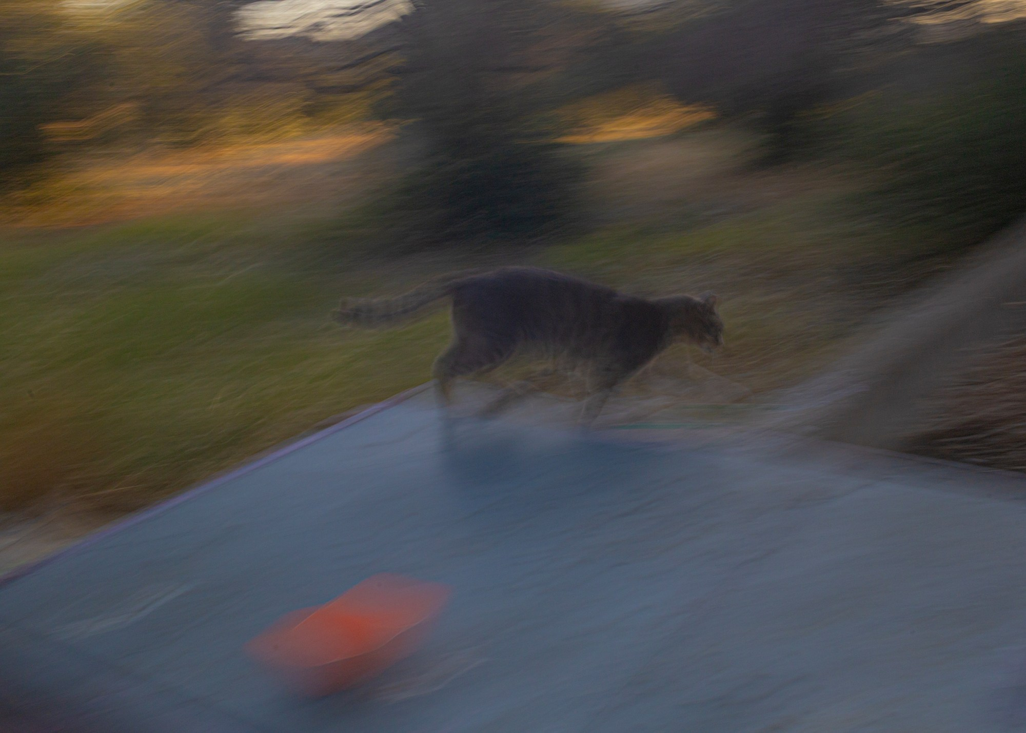 Портфолио. Оксана Жила, Фотограф, визуальный артист, Финляндия