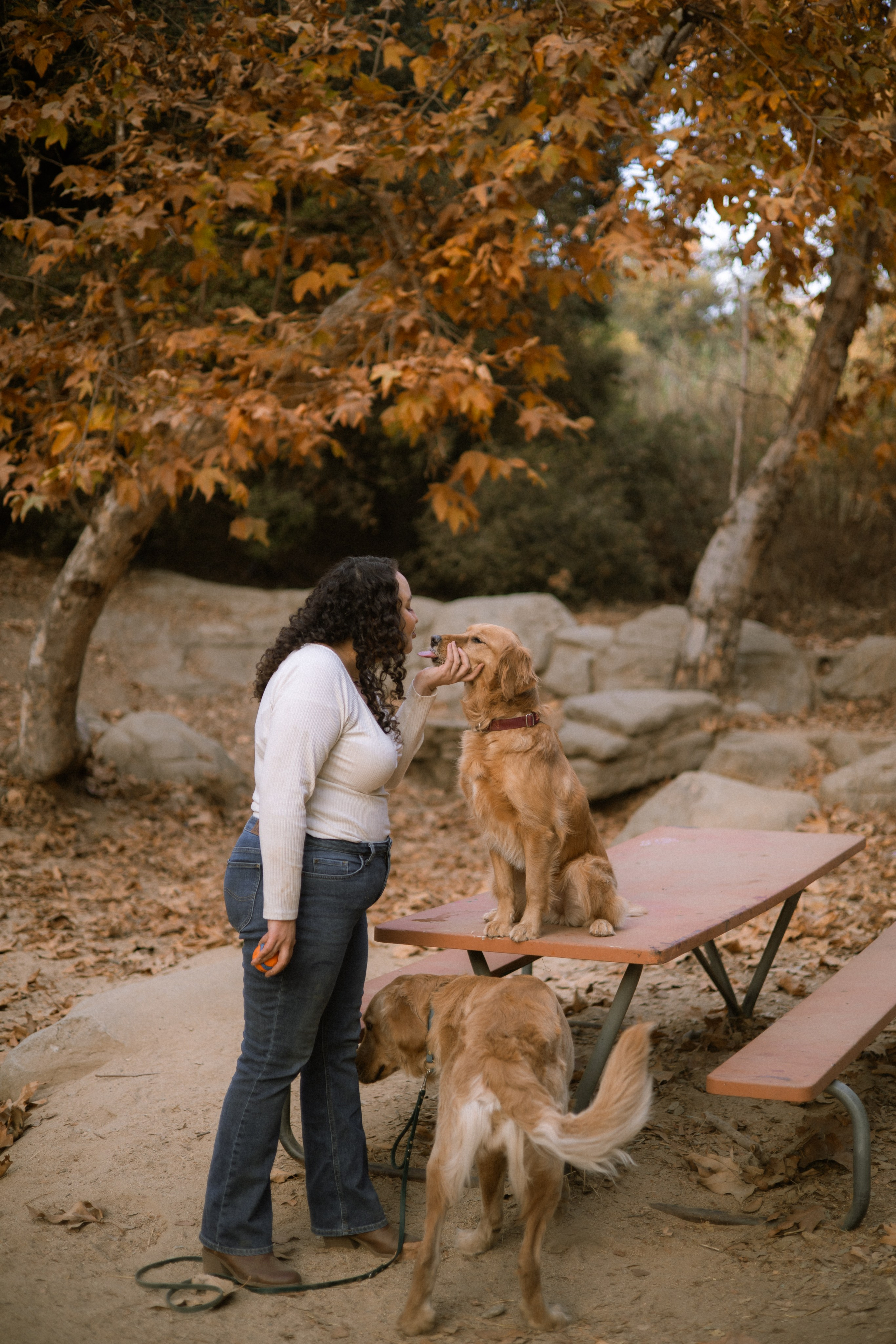 Briana, Denali & Stoeger. Photographer in Los Angeles. Julia Ishmuratova
