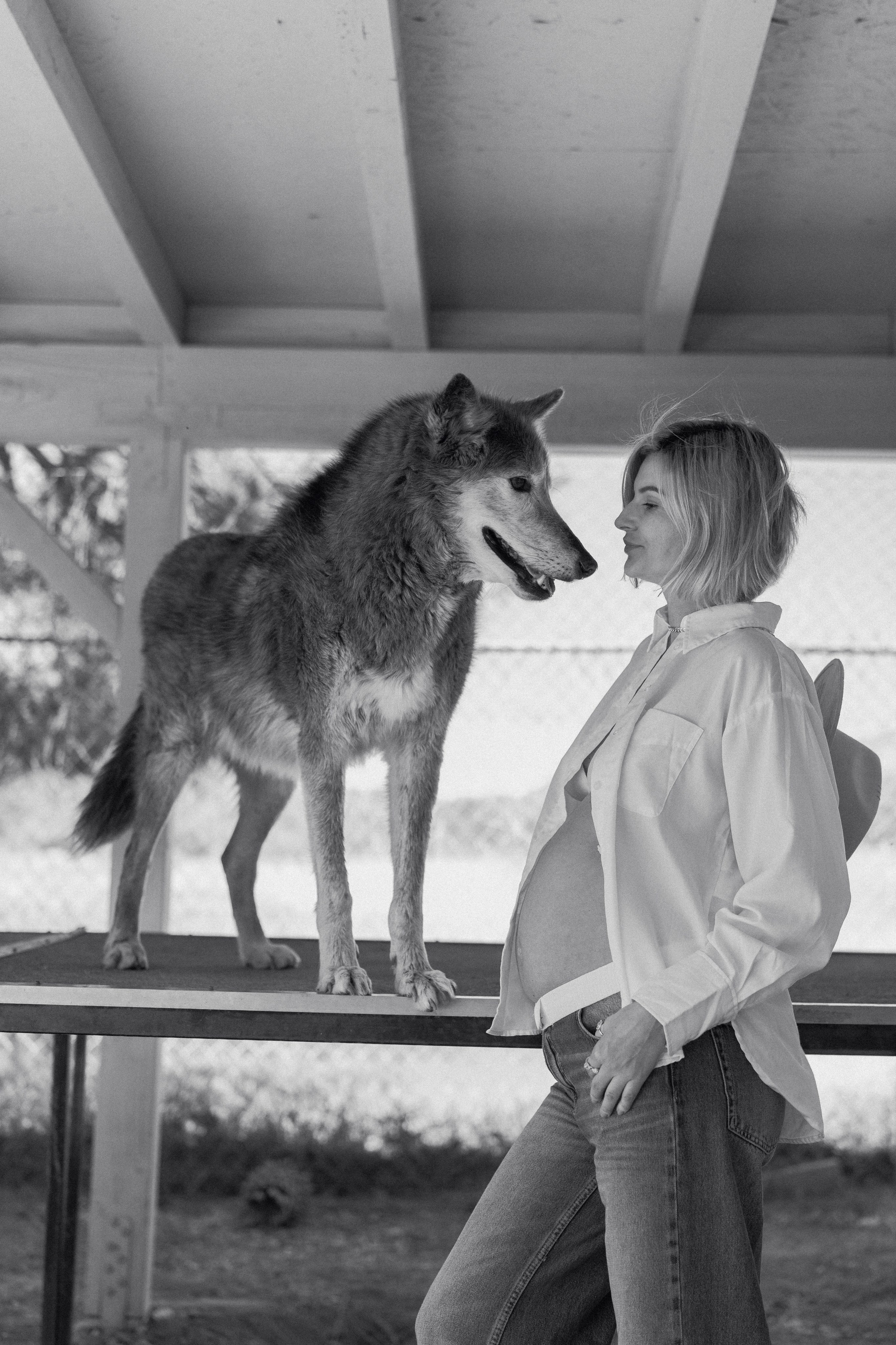 Kristina and Baby Wolf. Pregnancy Photoshoot. Portrait, family, maternity & wedding photography & videography in SoCal Kseni Vibe