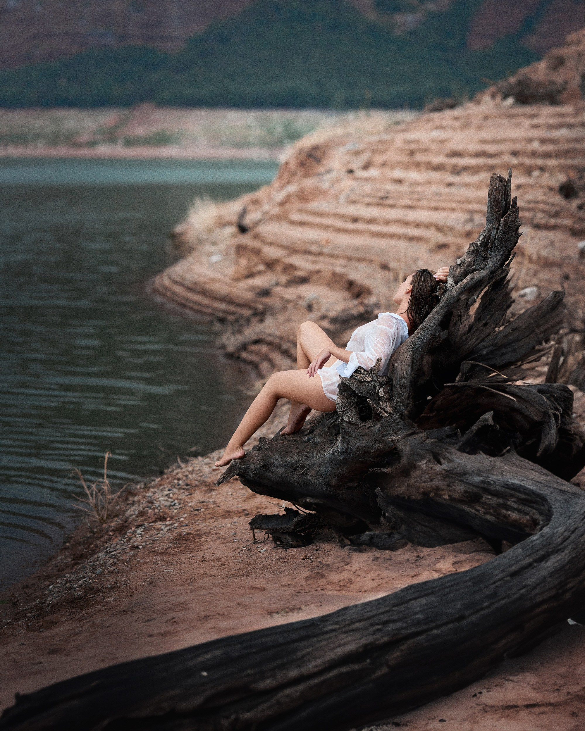 Portfolio 18+. Inicio