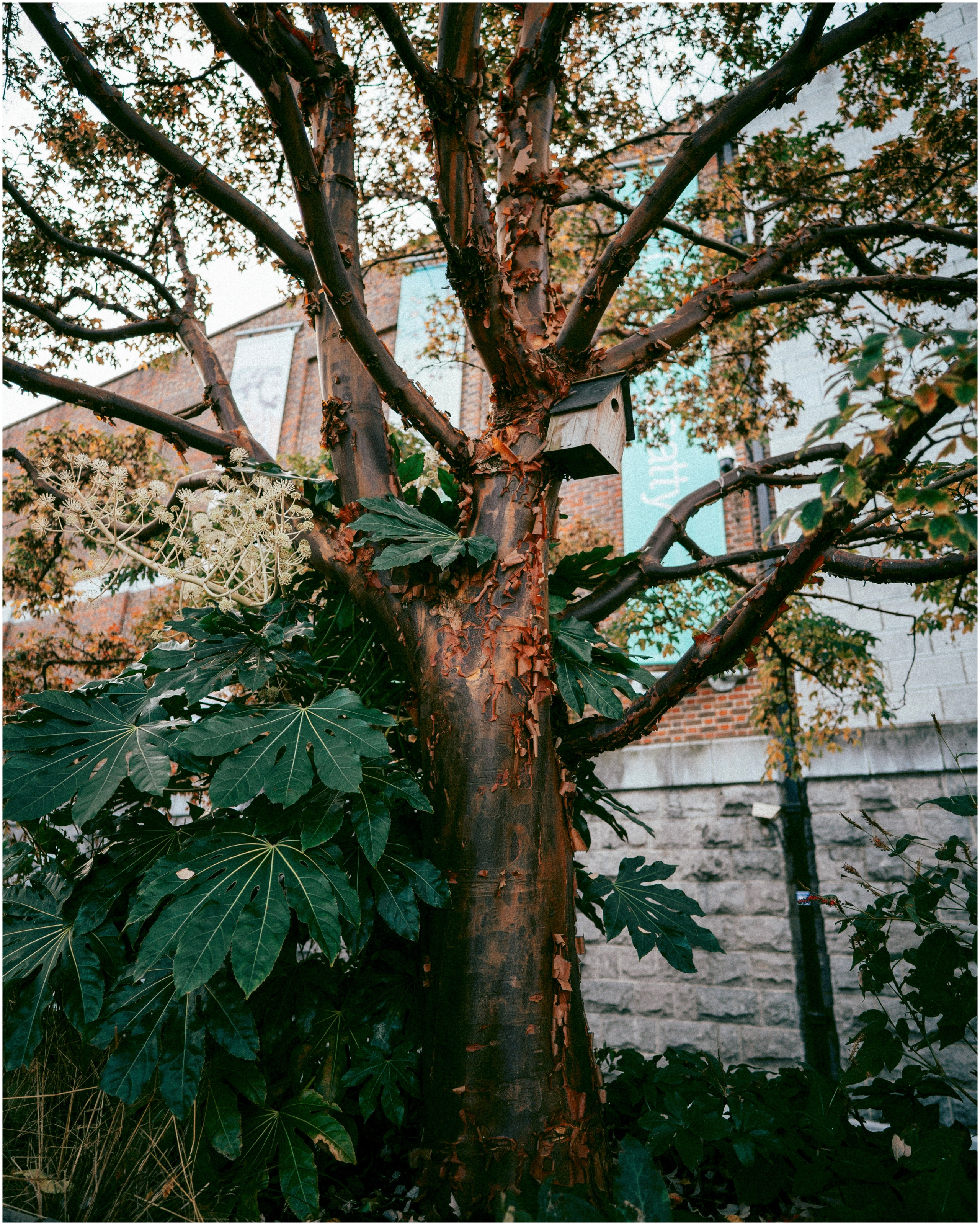 IRELAND. Inna Mendelson — Photographer