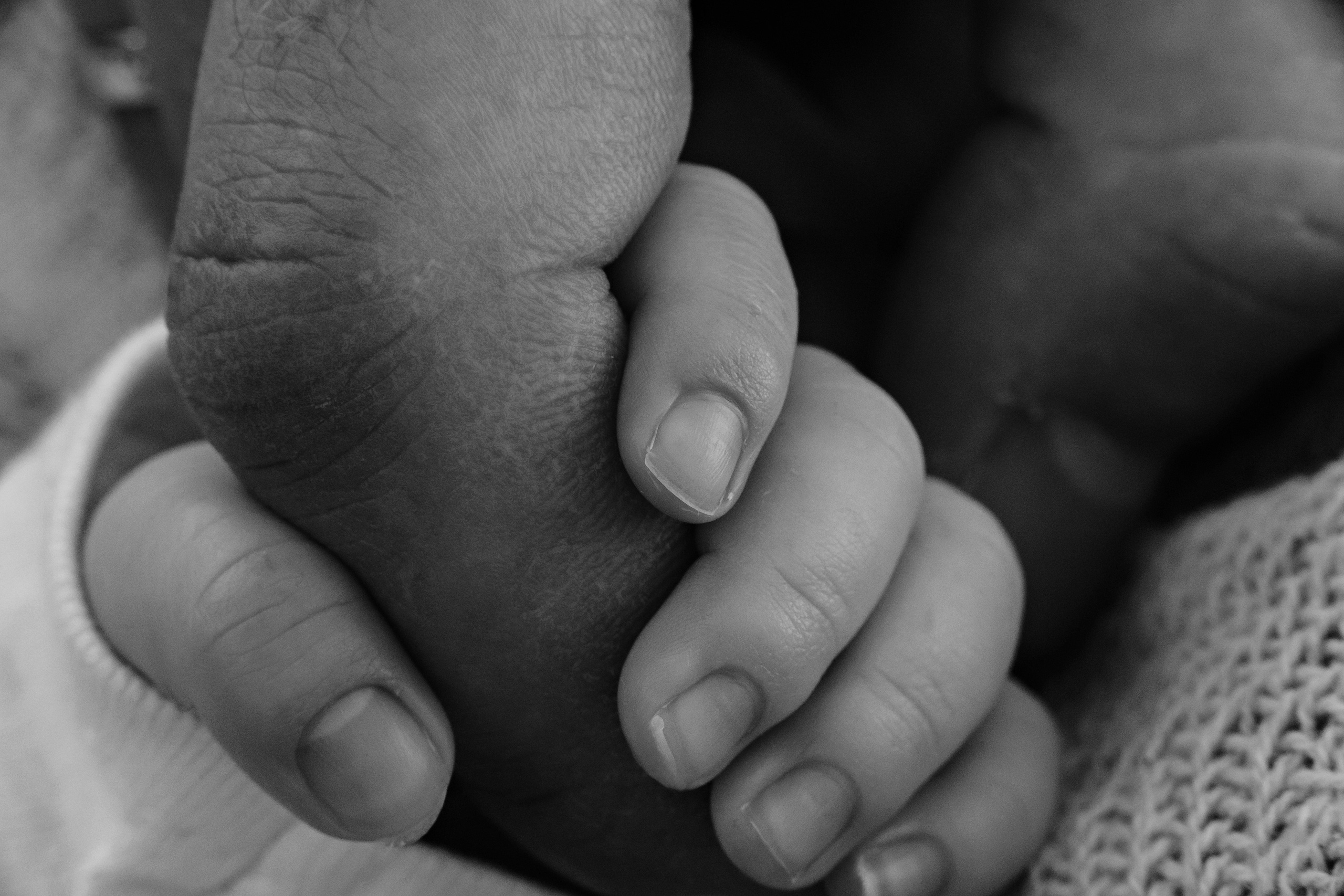 Фотосесия за новородено. Фотограф Ирина Йотова