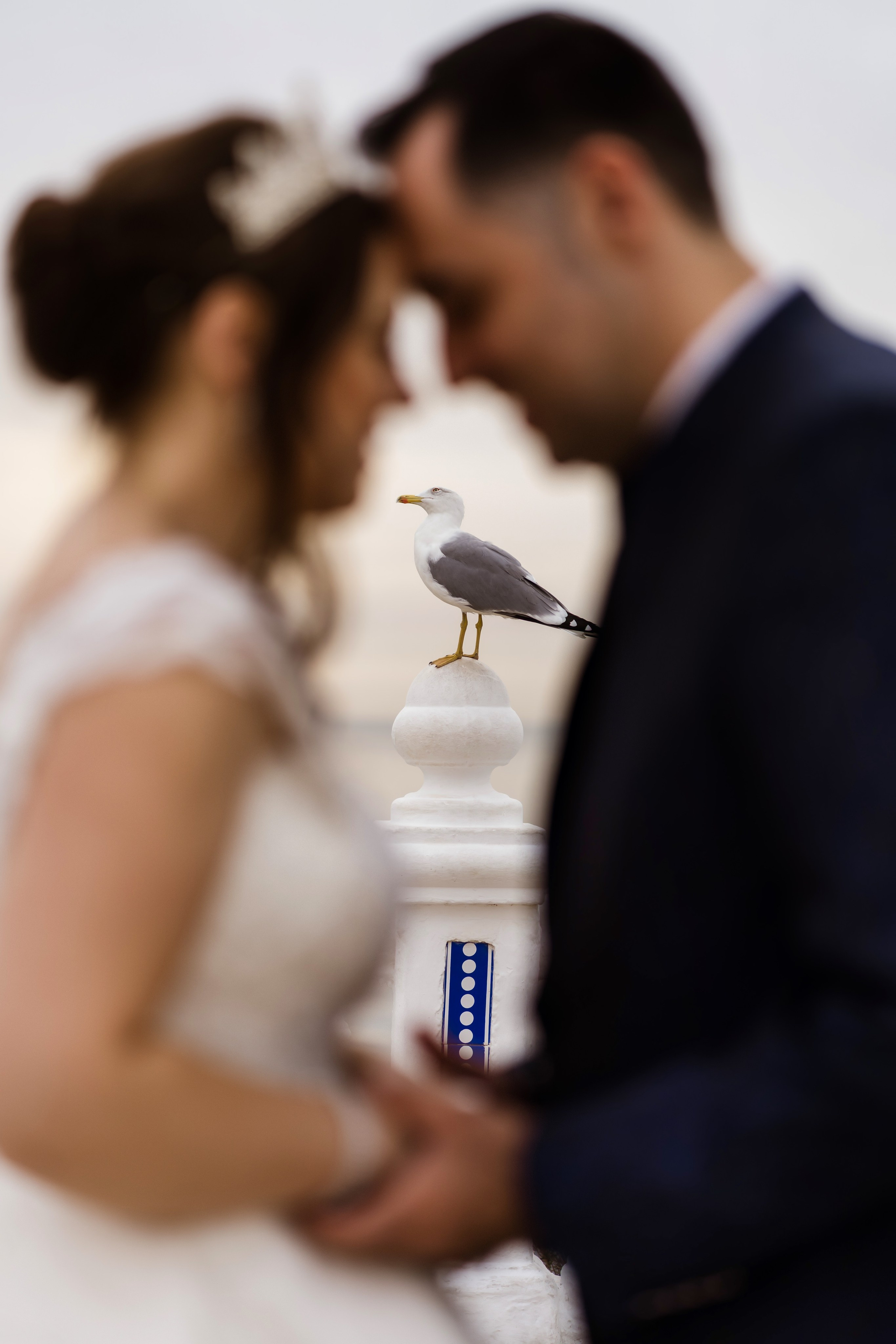 POST BODA. Fotografia | Videografia | Eventos |