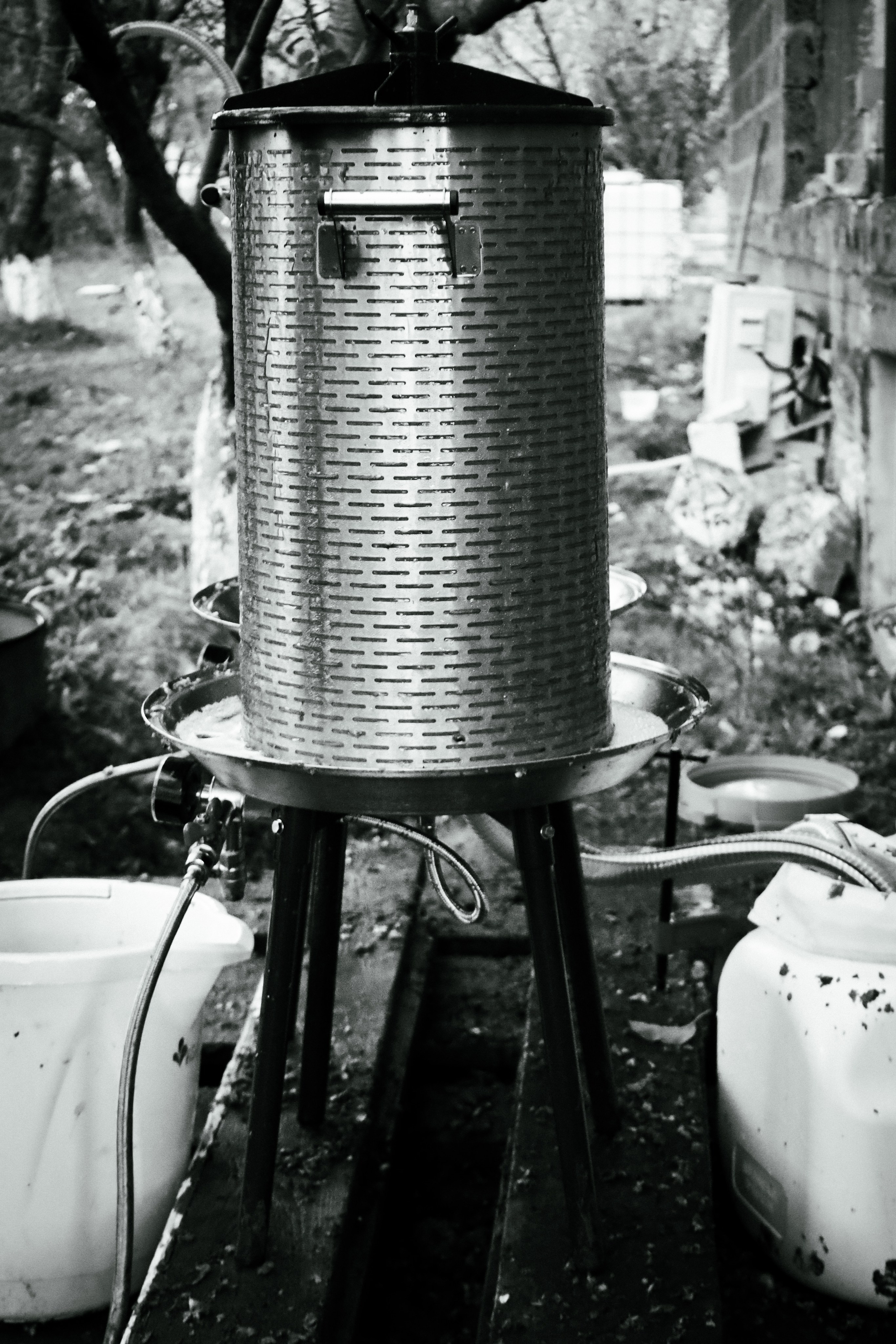 Factory reportage (hand-crafted cider). Asmikiam