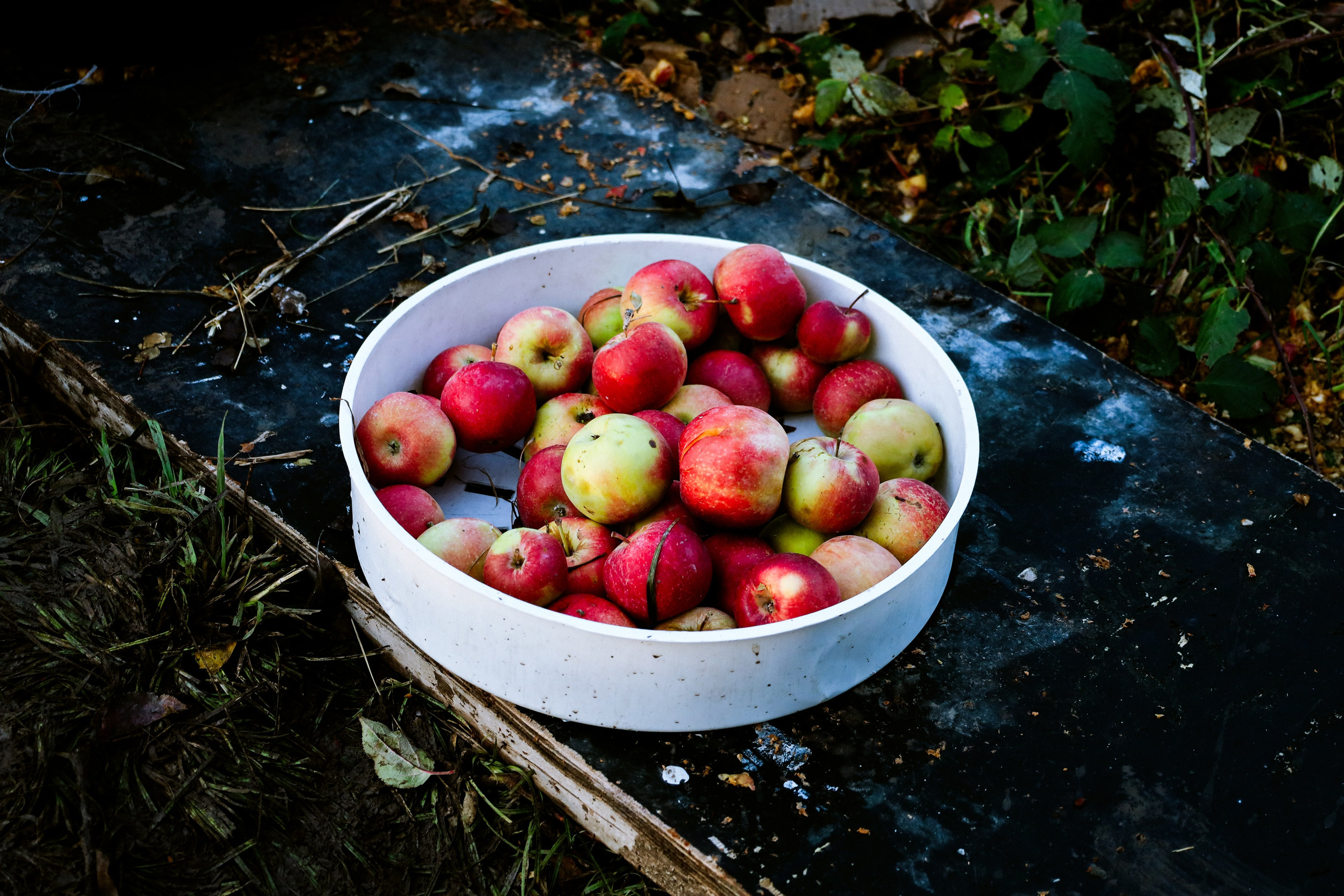 Factory reportage (hand-crafted cider). Asmikiam