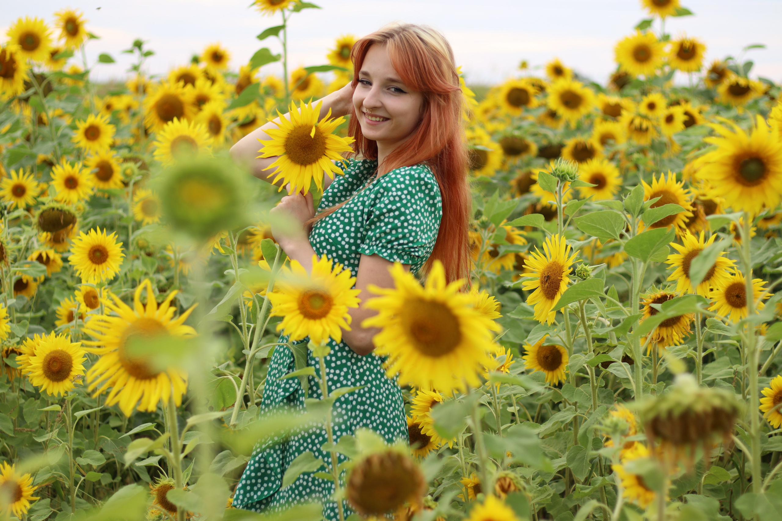 Фотосессия в подсолнухах. Фотограф / Даугавпилс / Ольга Антонова