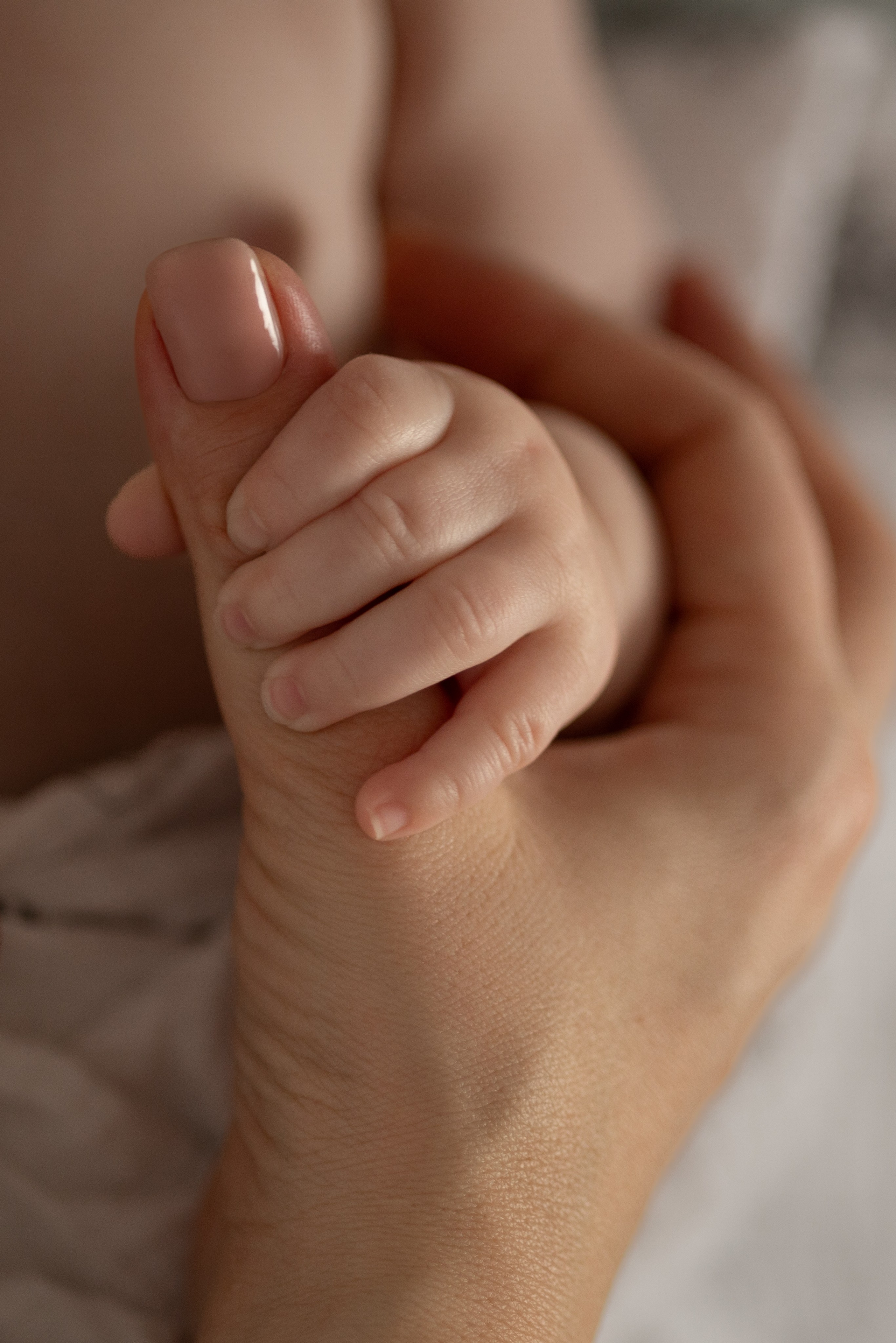 Newborn. Family and Wedding photographer