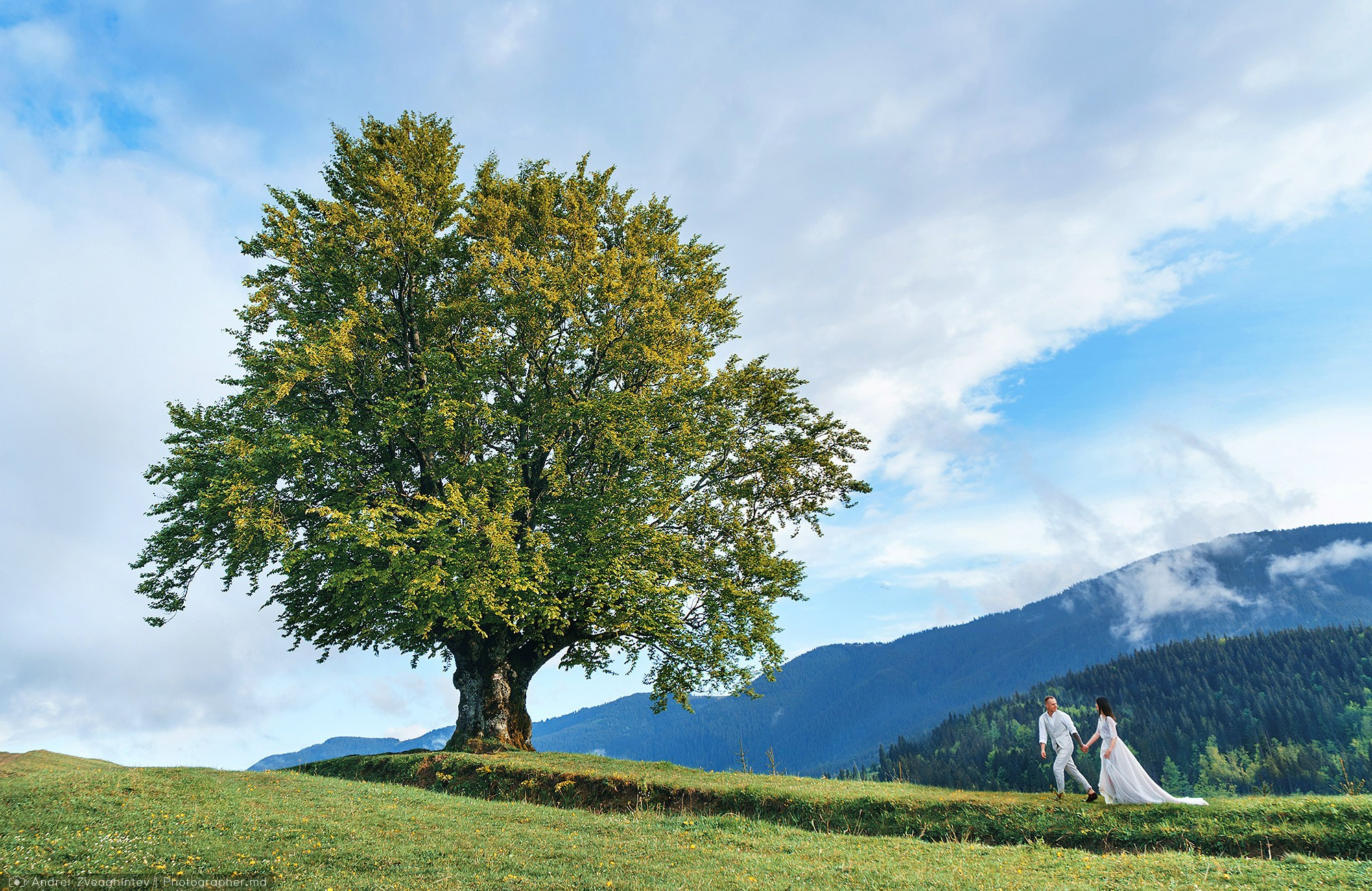 Sedinta foto in Carpati - fotograf Andrei Zveaghintev. Fotograf nunta si familie in Moldova, Chisinau - Andrei Zveaghintev