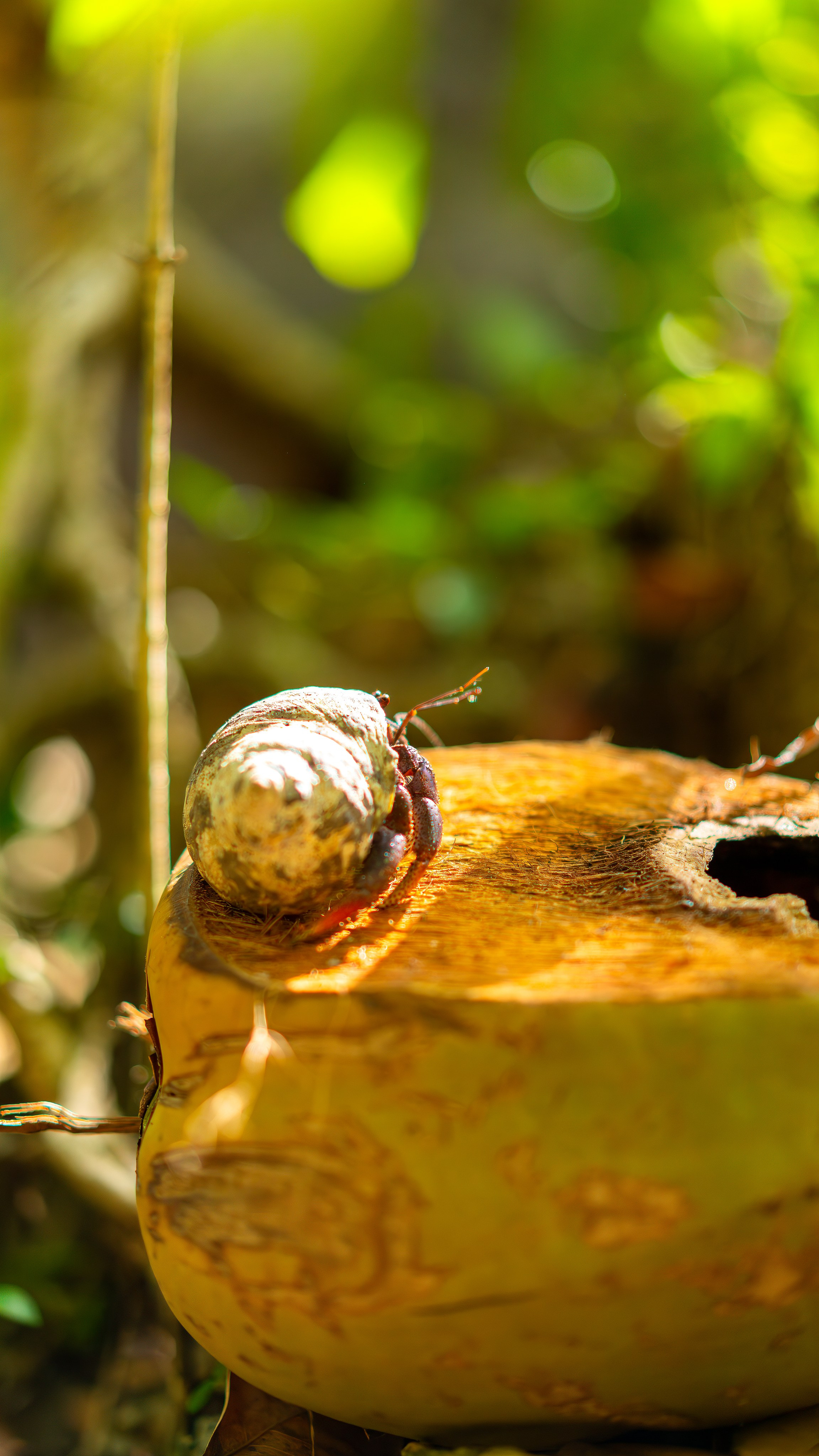 Natural Light. Manny Cruzado Photography
