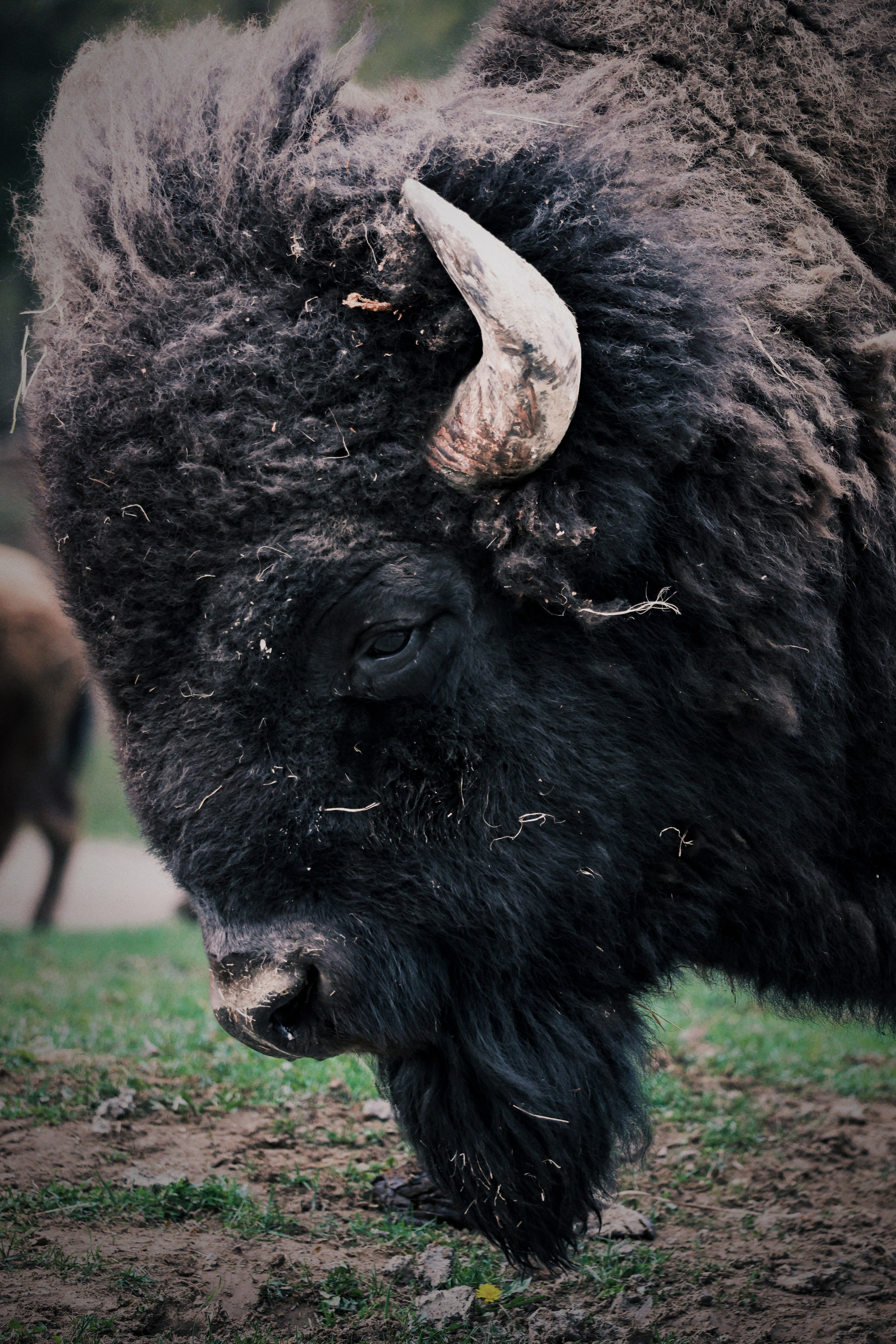 Nature & Wildlife. Navya Sispson | Portrait & Event Photography