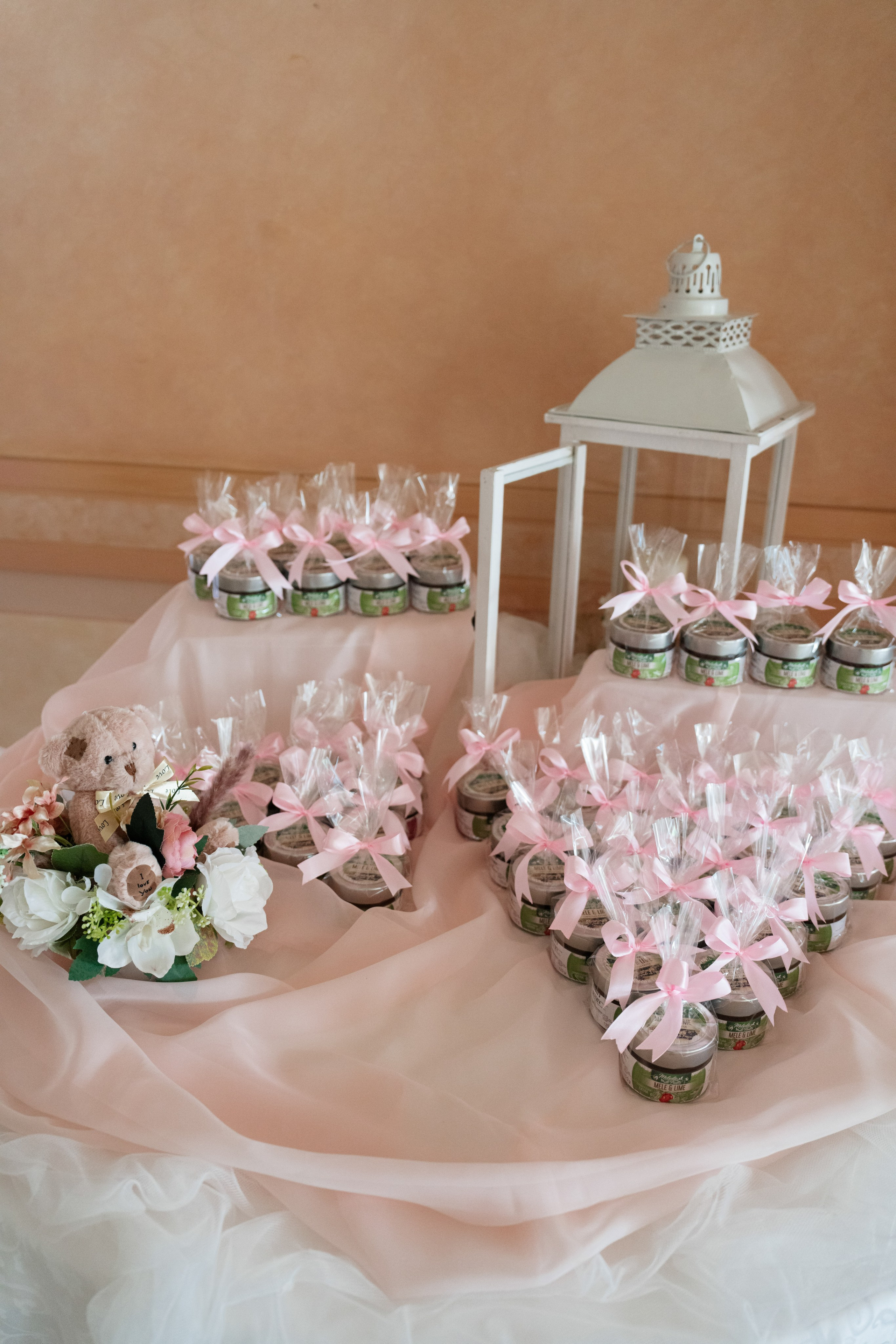 Adele Mari. Studio Timis